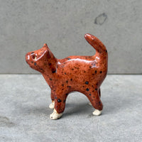 Ceranimal: Cat