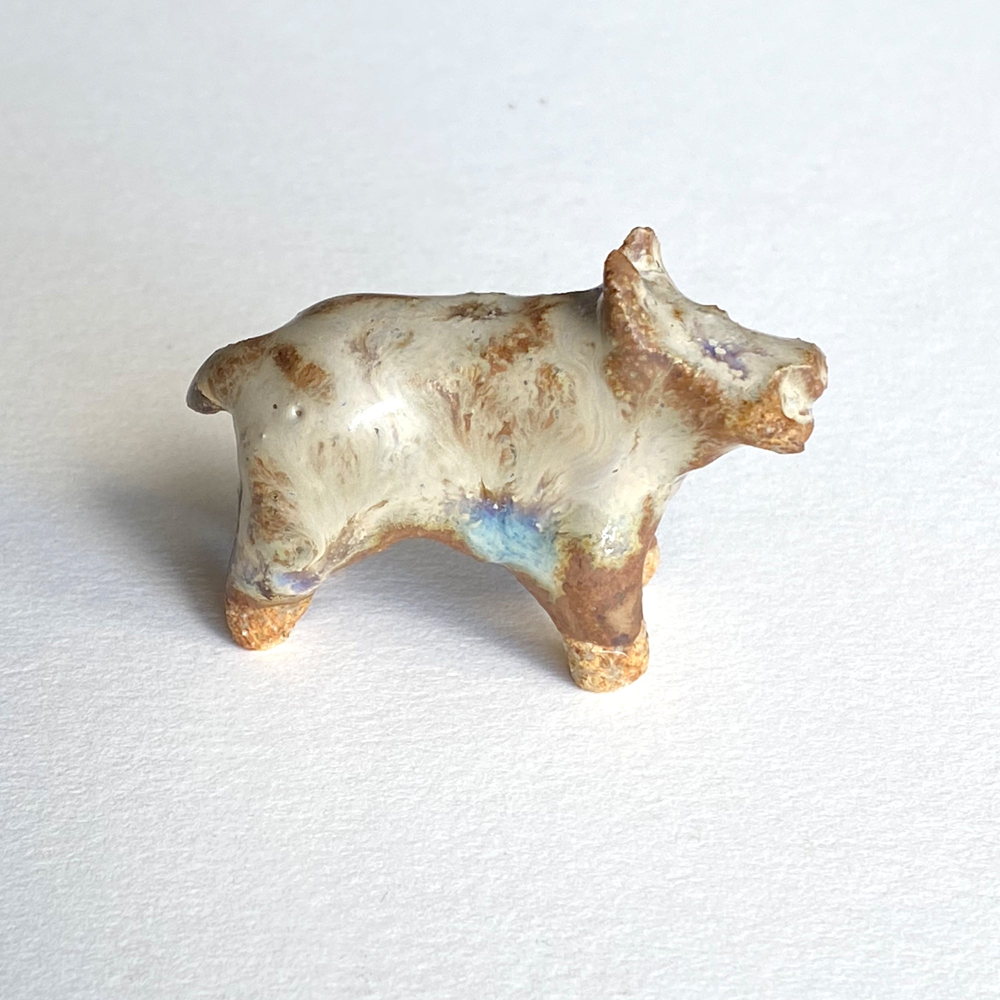 Ceranimal: Boar