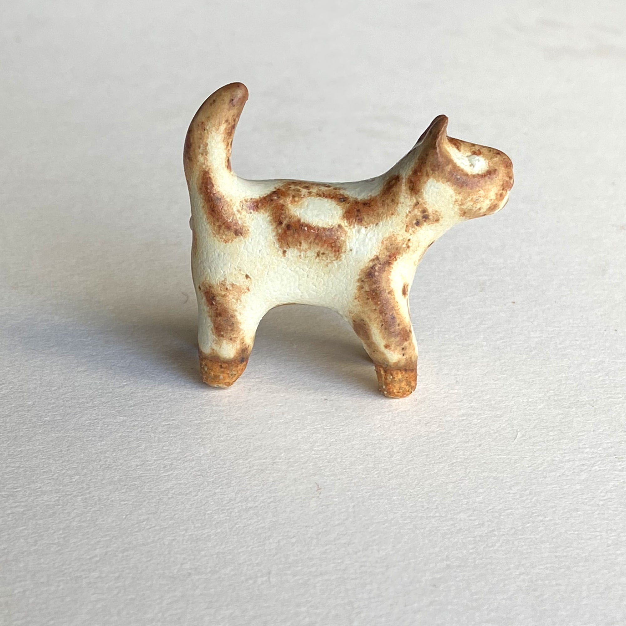 Ceranimal: Cat