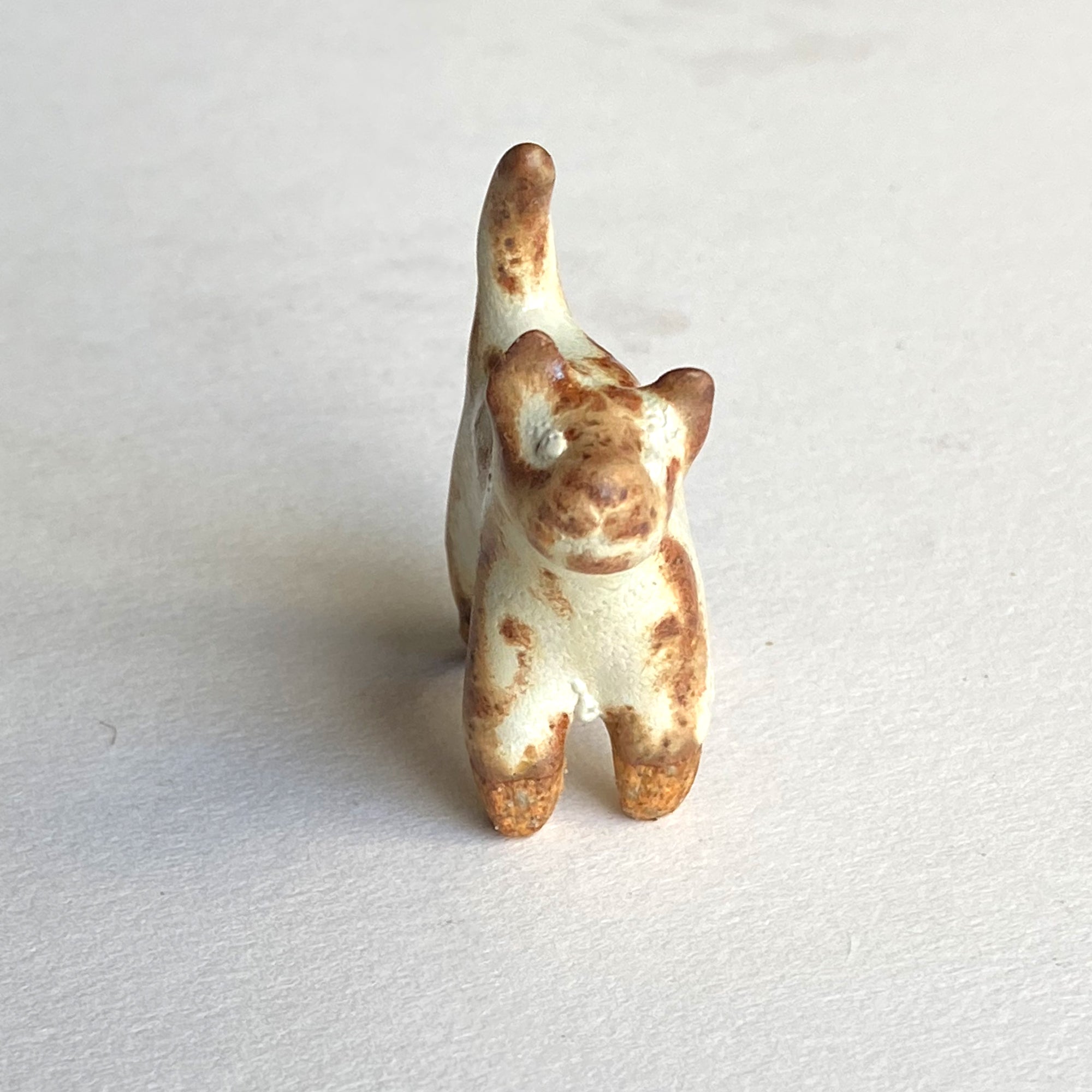 Ceranimal: Cat