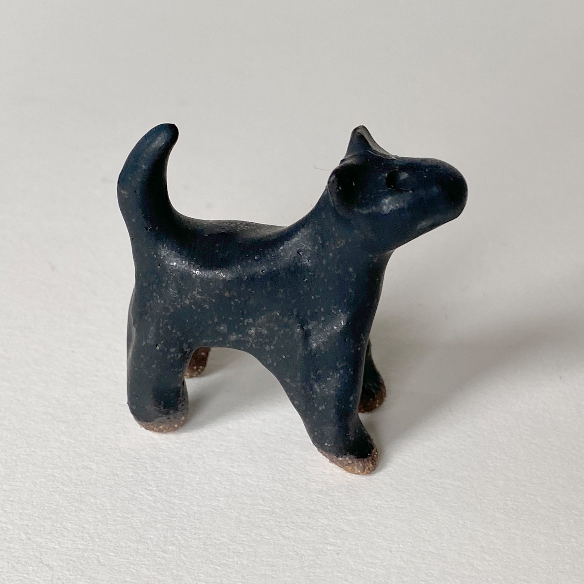 Ceranimal: Cat