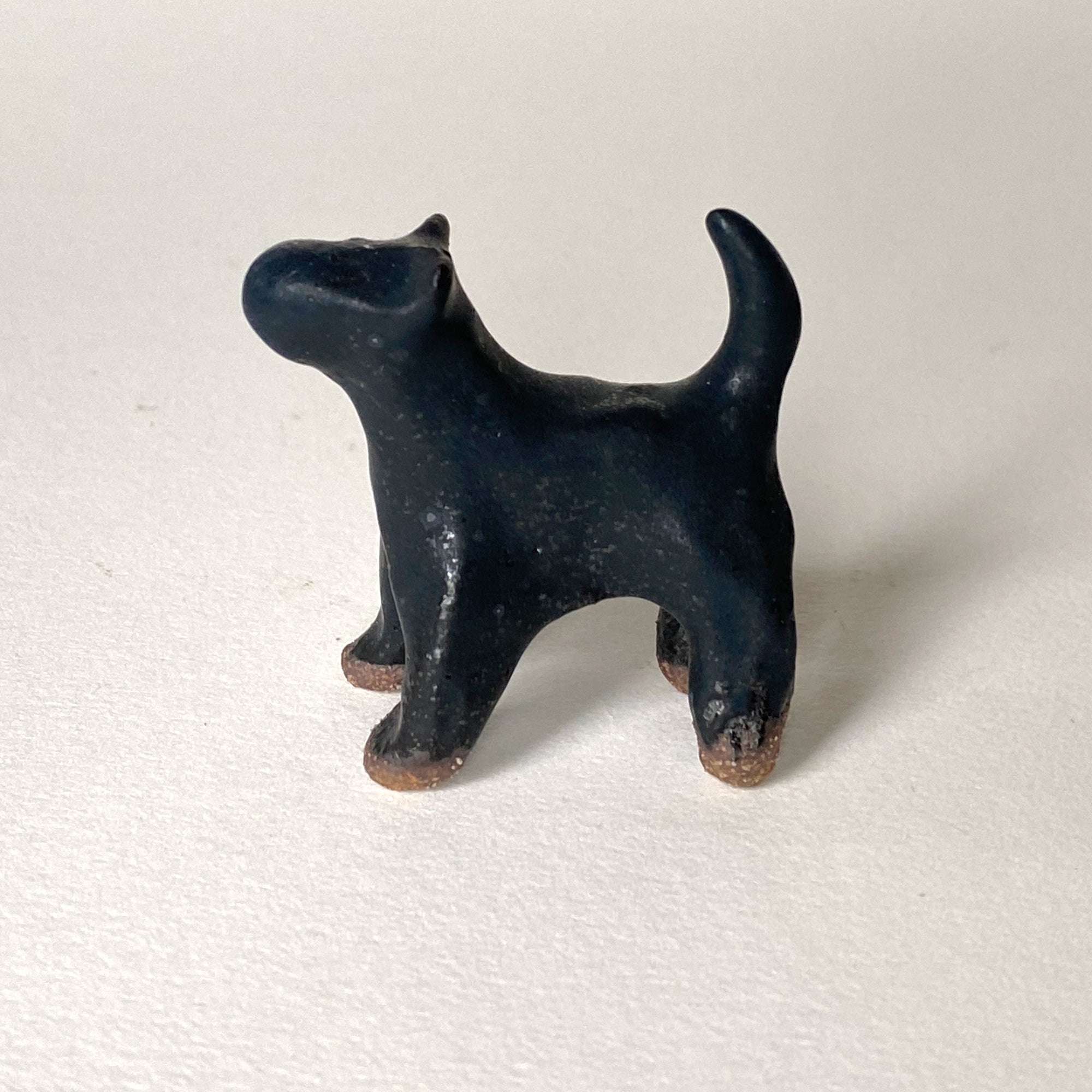 Ceranimal: Cat
