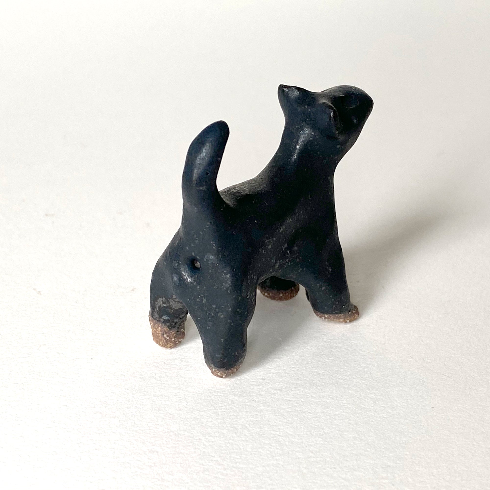 Ceranimal: Cat