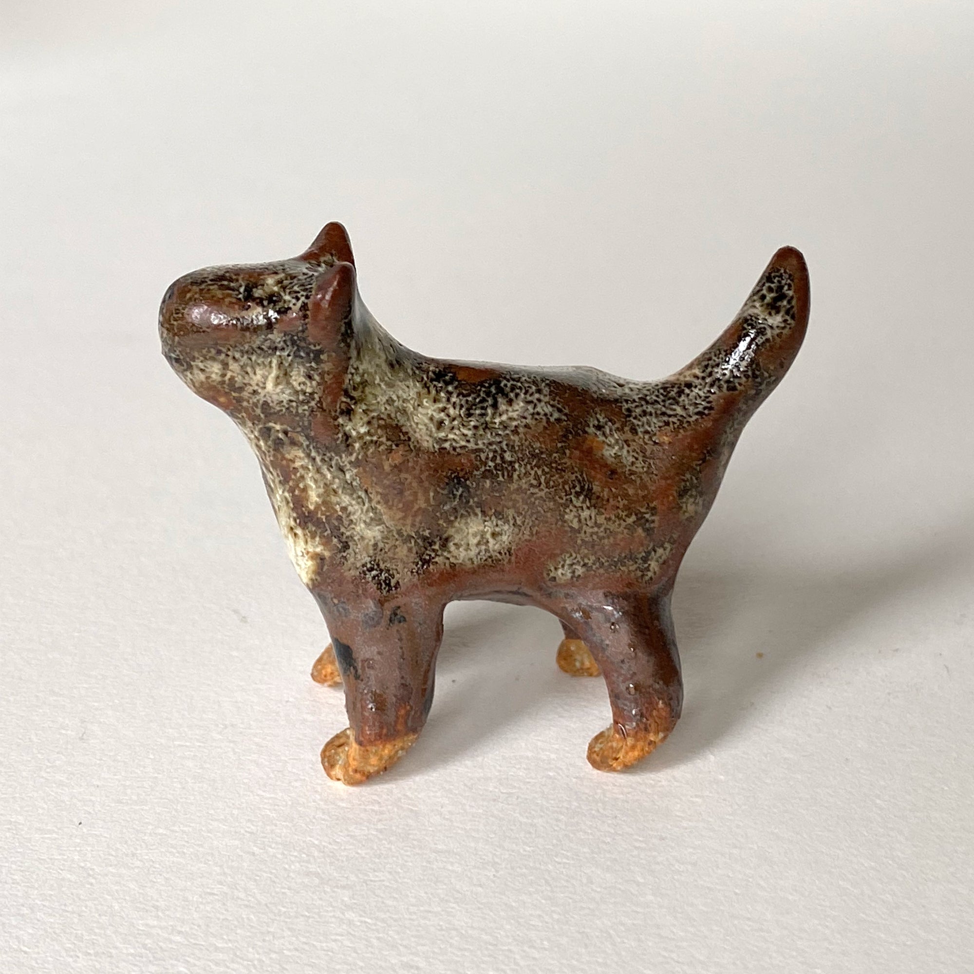 Ceranimal: Cat