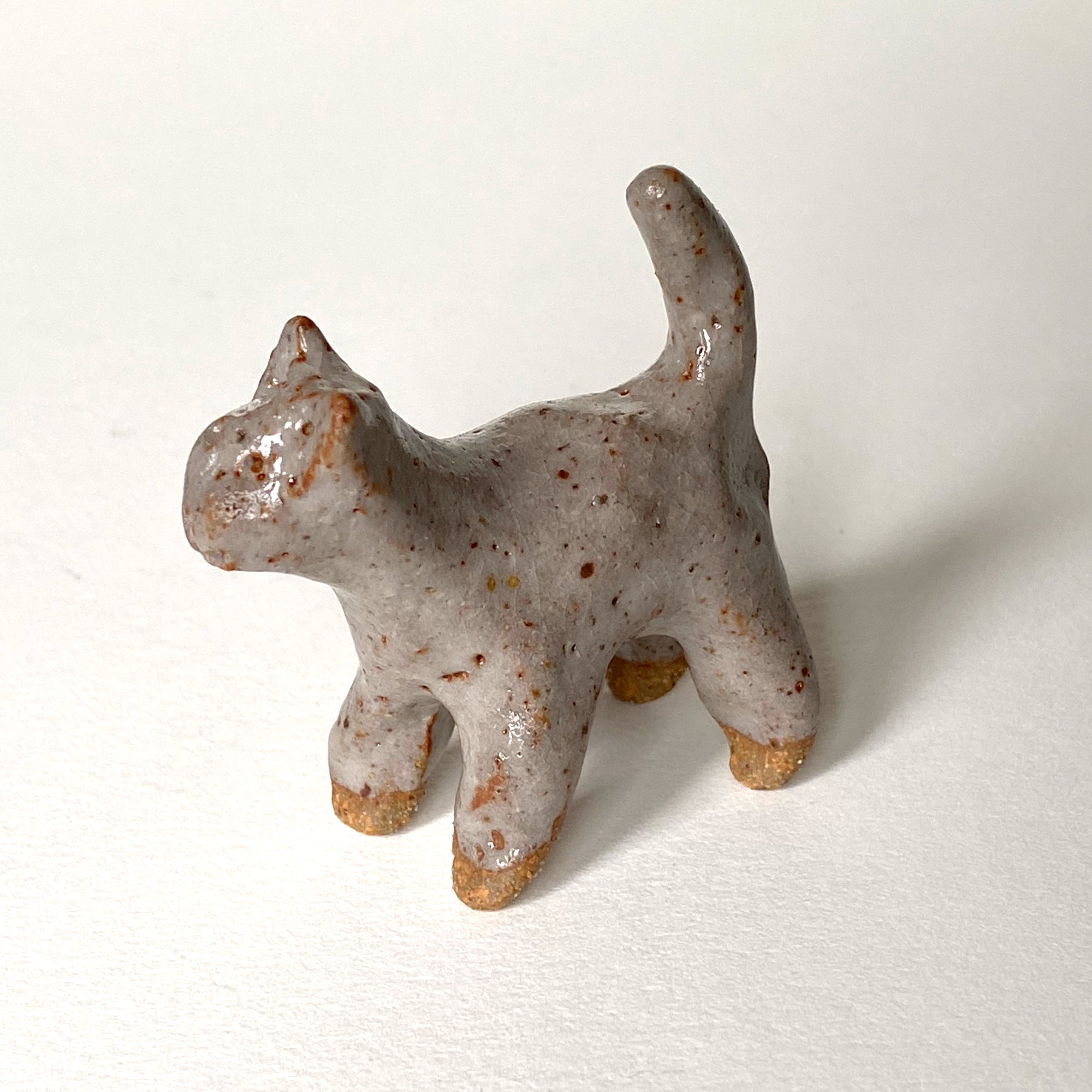 Ceranimal: Cat