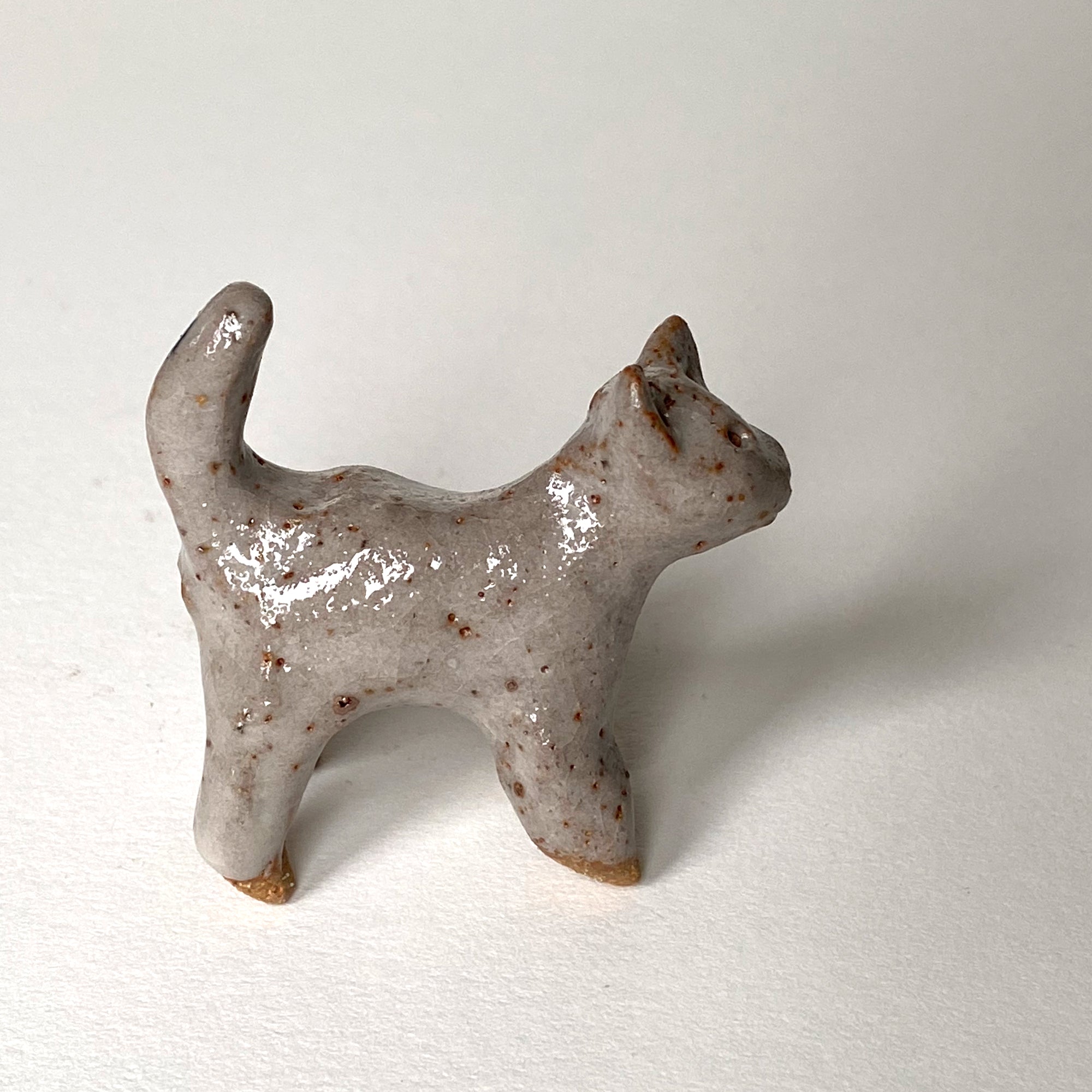 Ceranimal: Cat