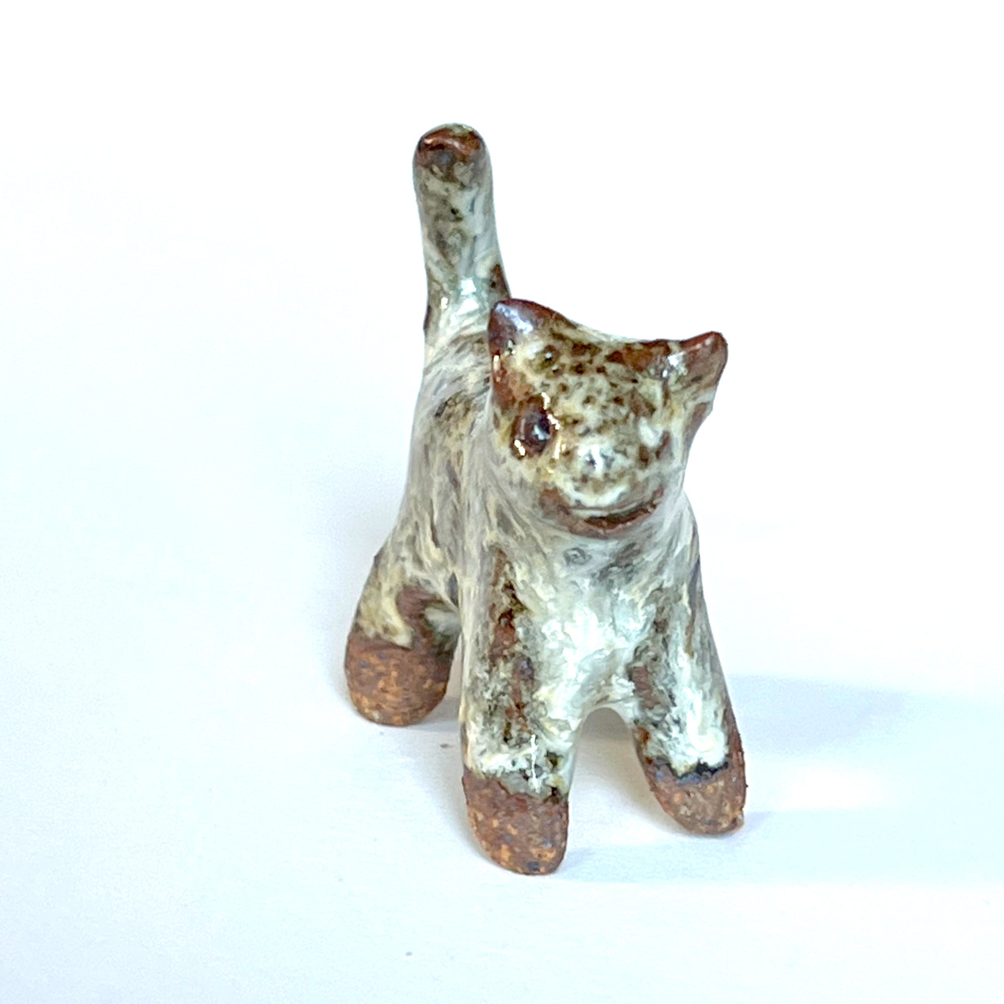 Ceranimal: Cat