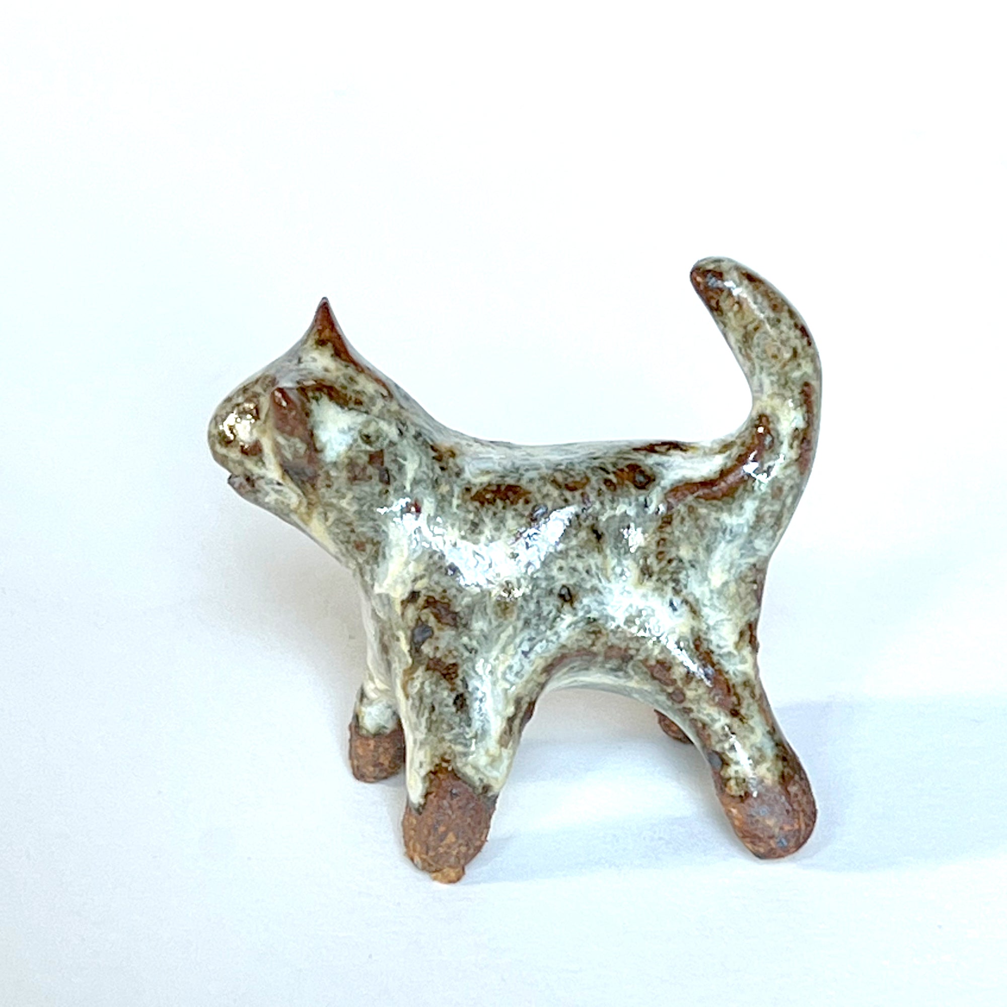 Ceranimal: Cat