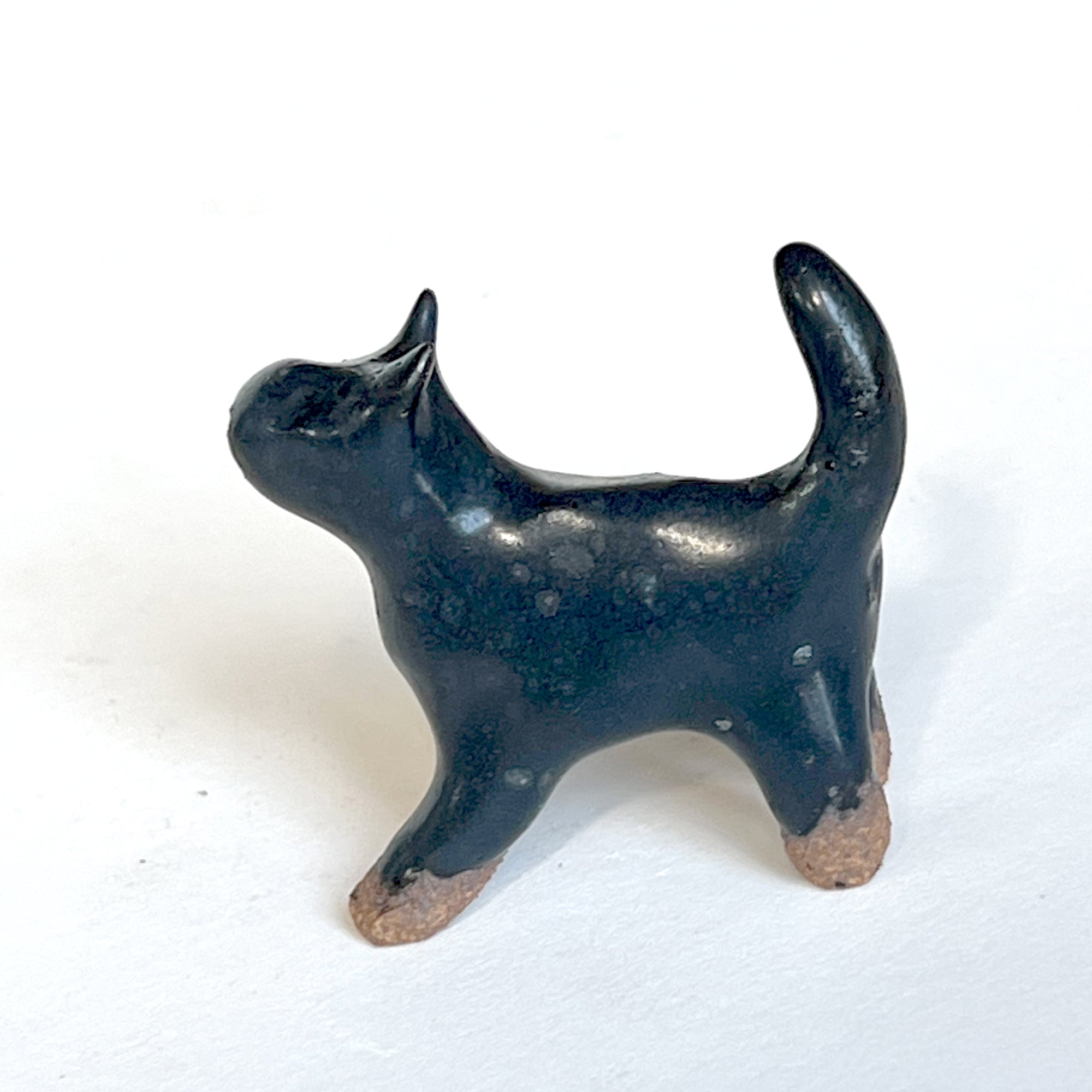 Ceranimal: Cat