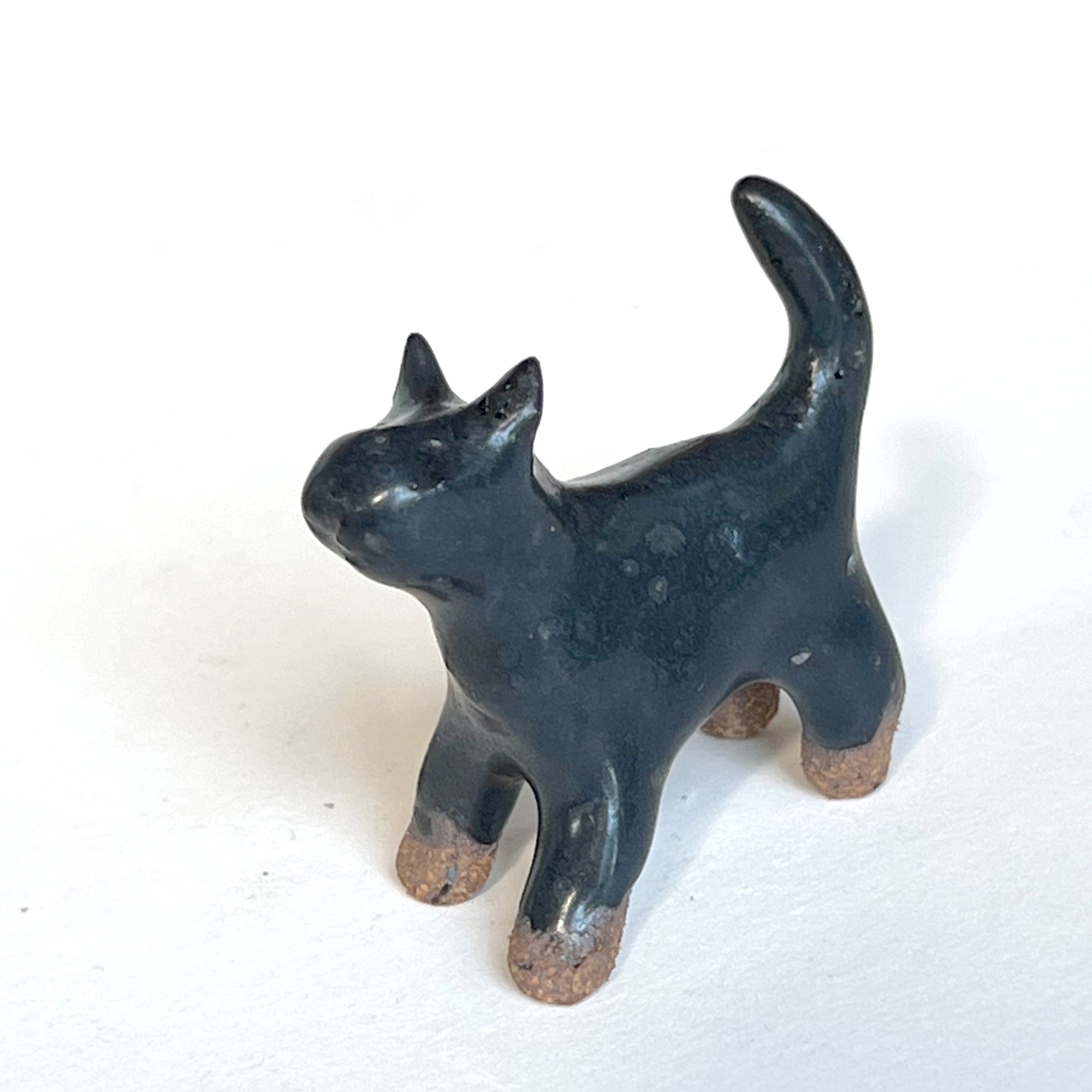 Ceranimal: Cat