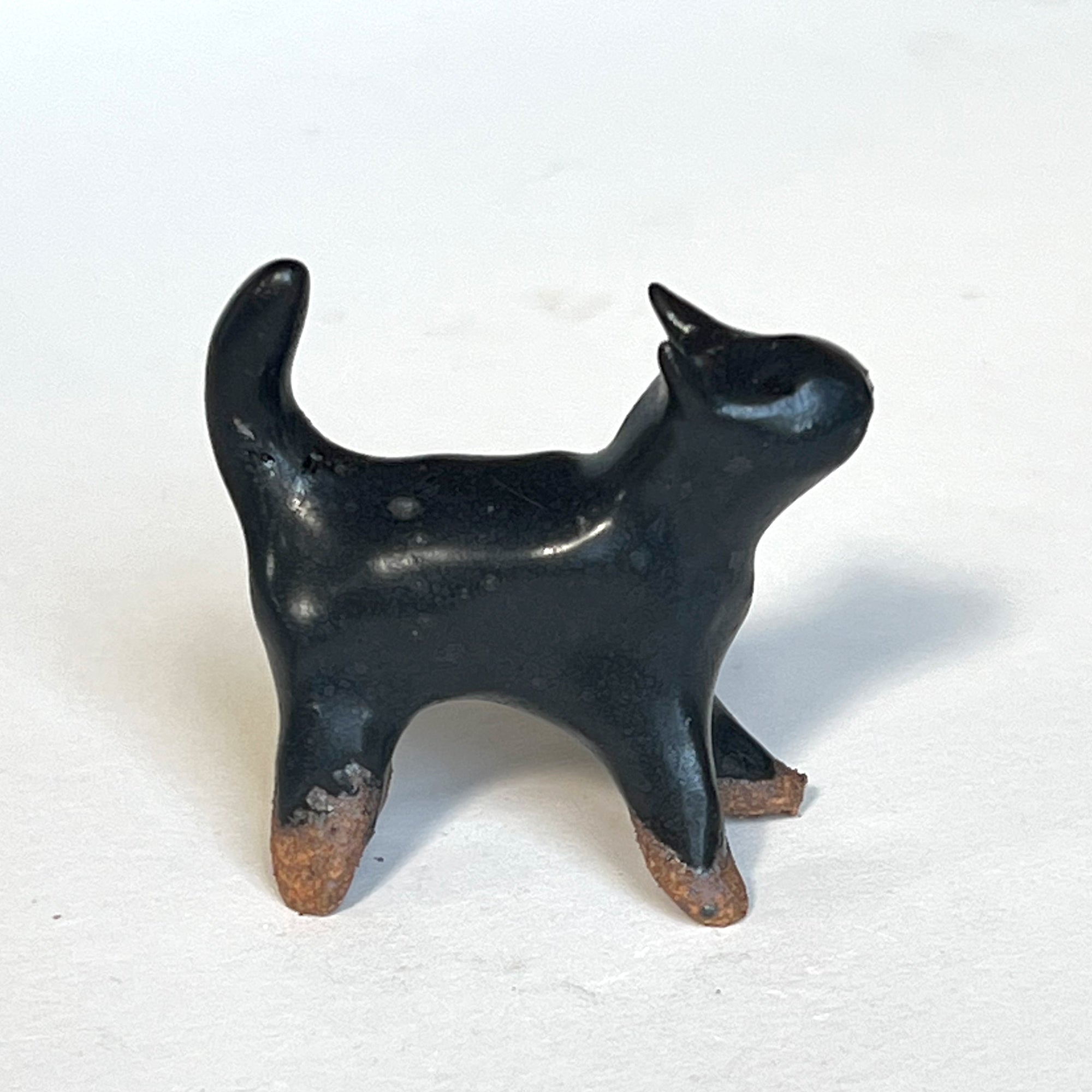 Ceranimal: Cat