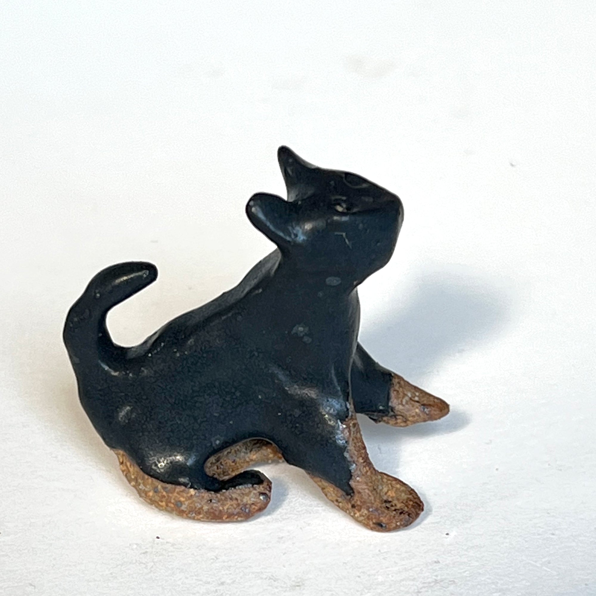 Ceranimal: Cat