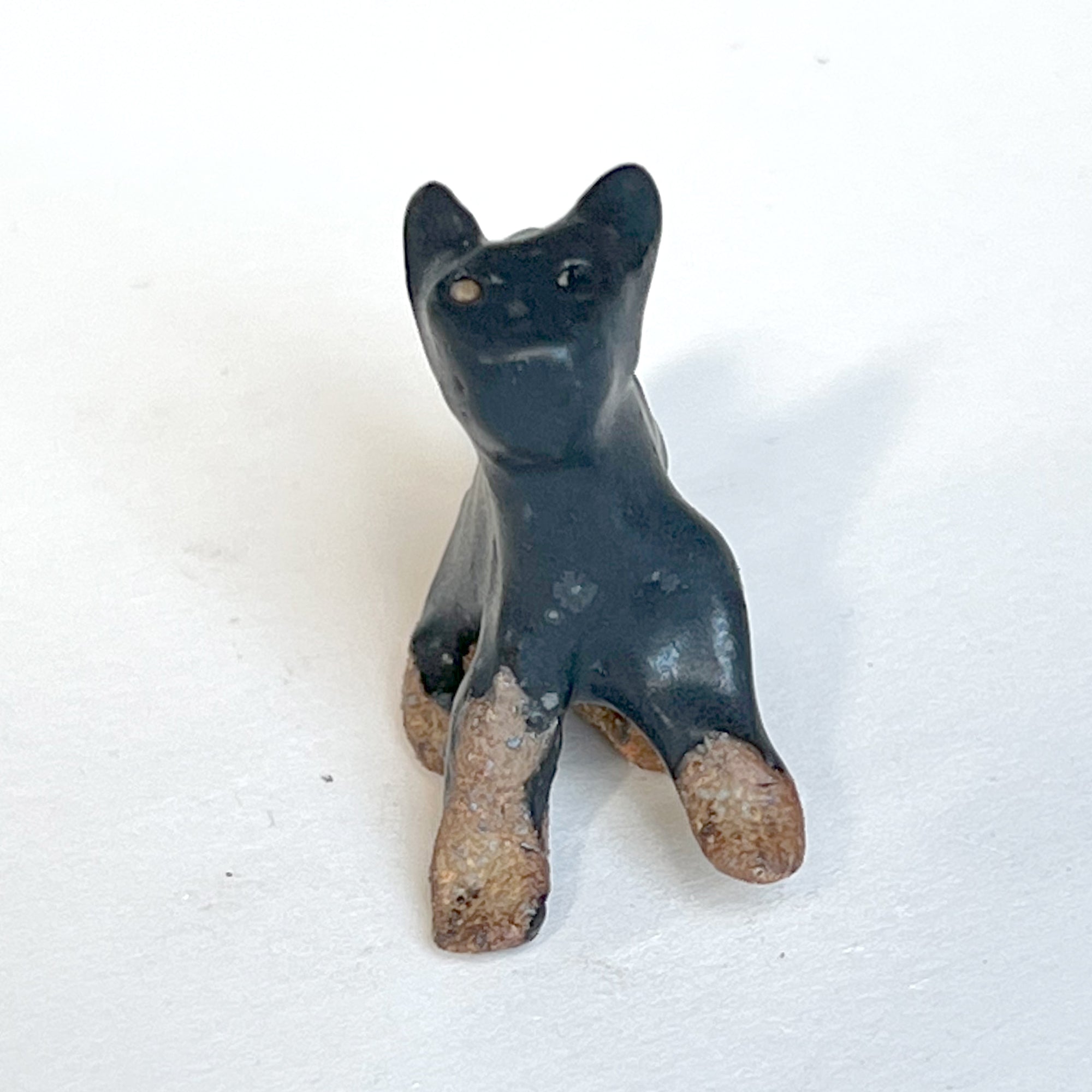 Ceranimal: Cat