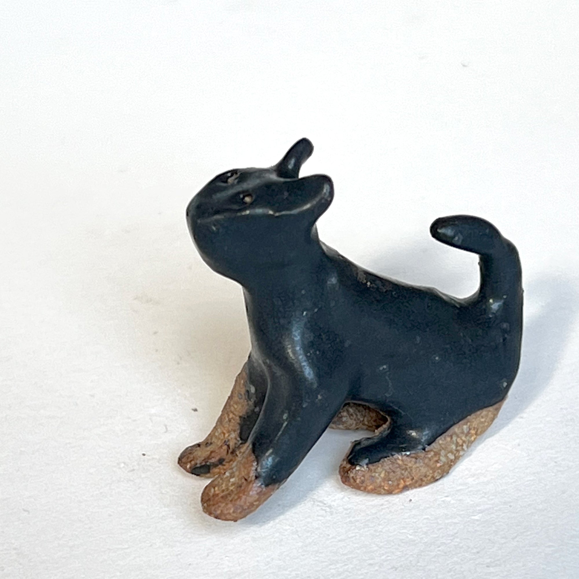 Ceranimal: Cat
