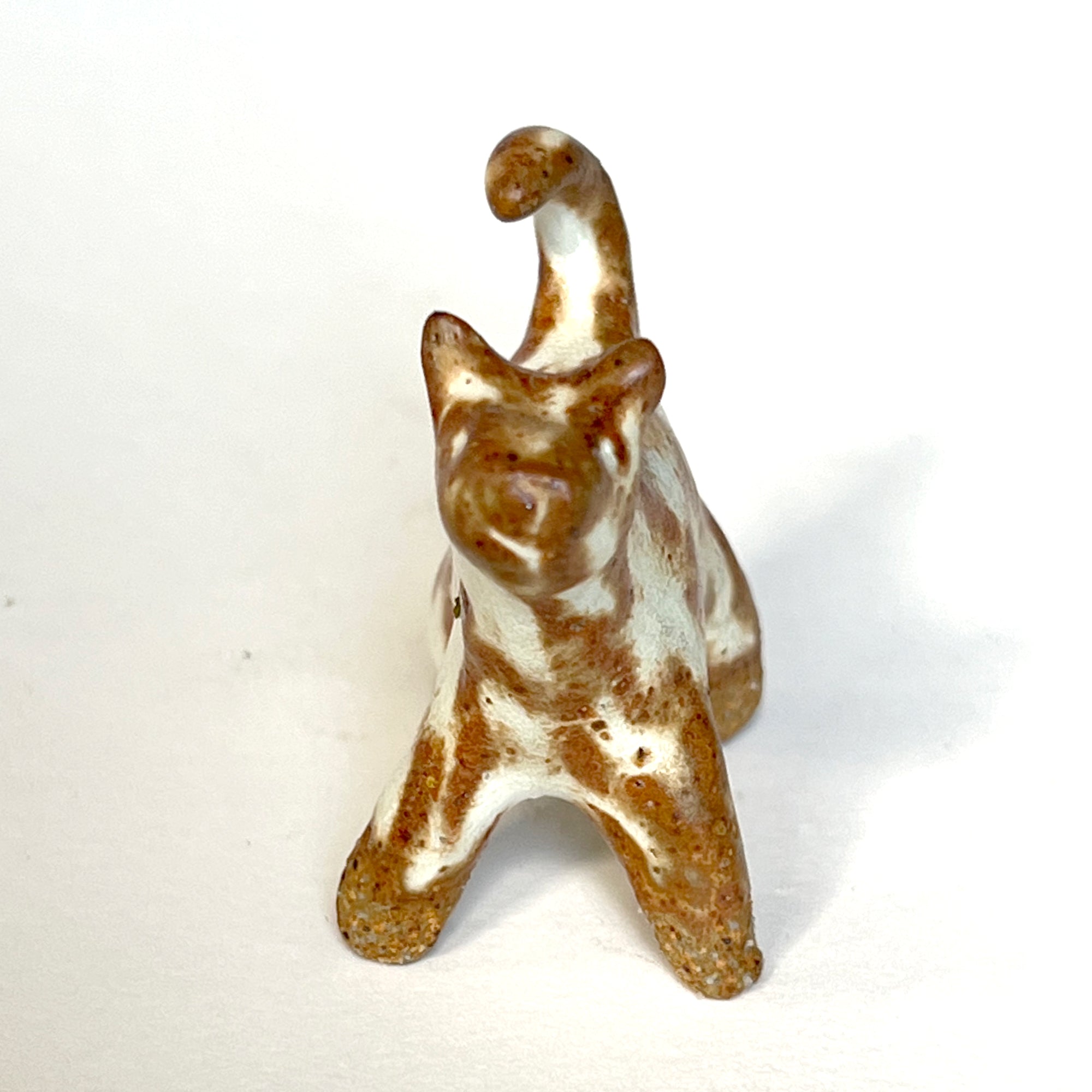 Ceranimal: Cat
