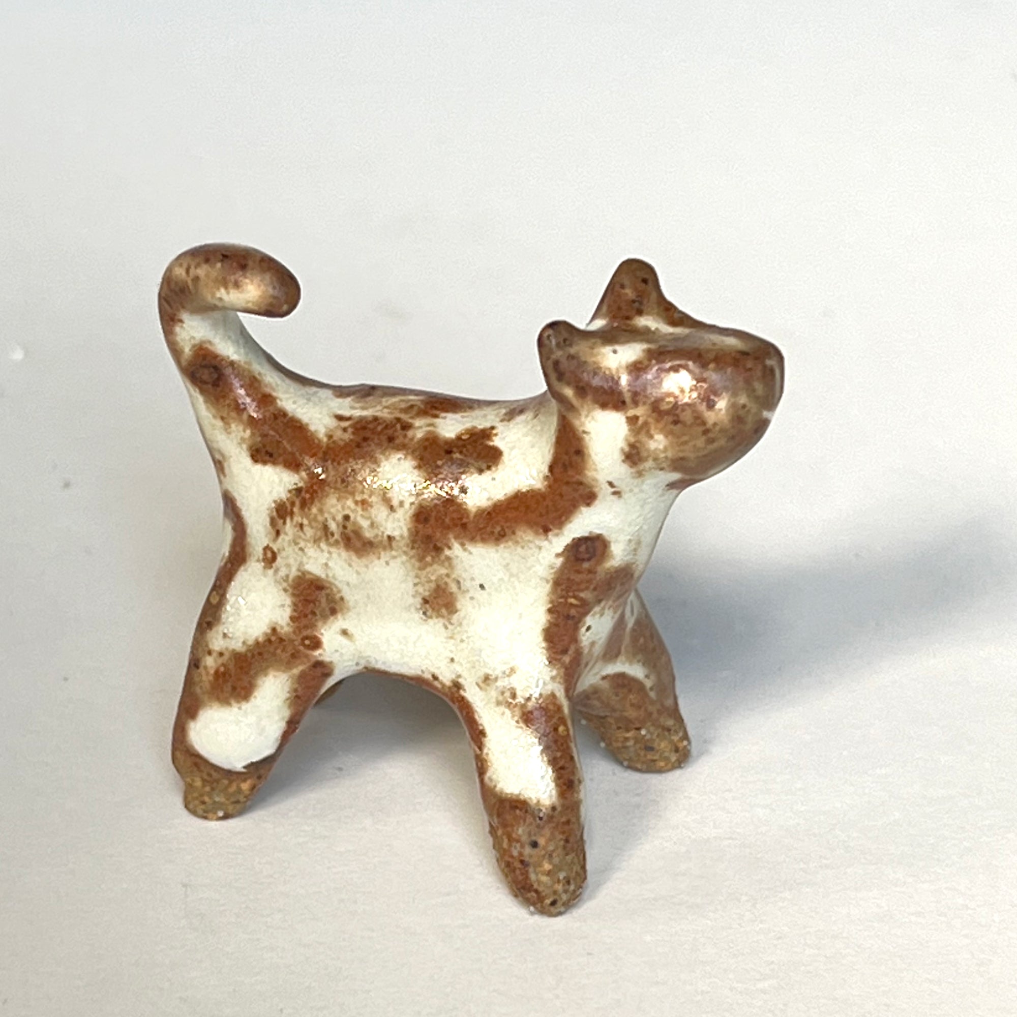Ceranimal: Cat