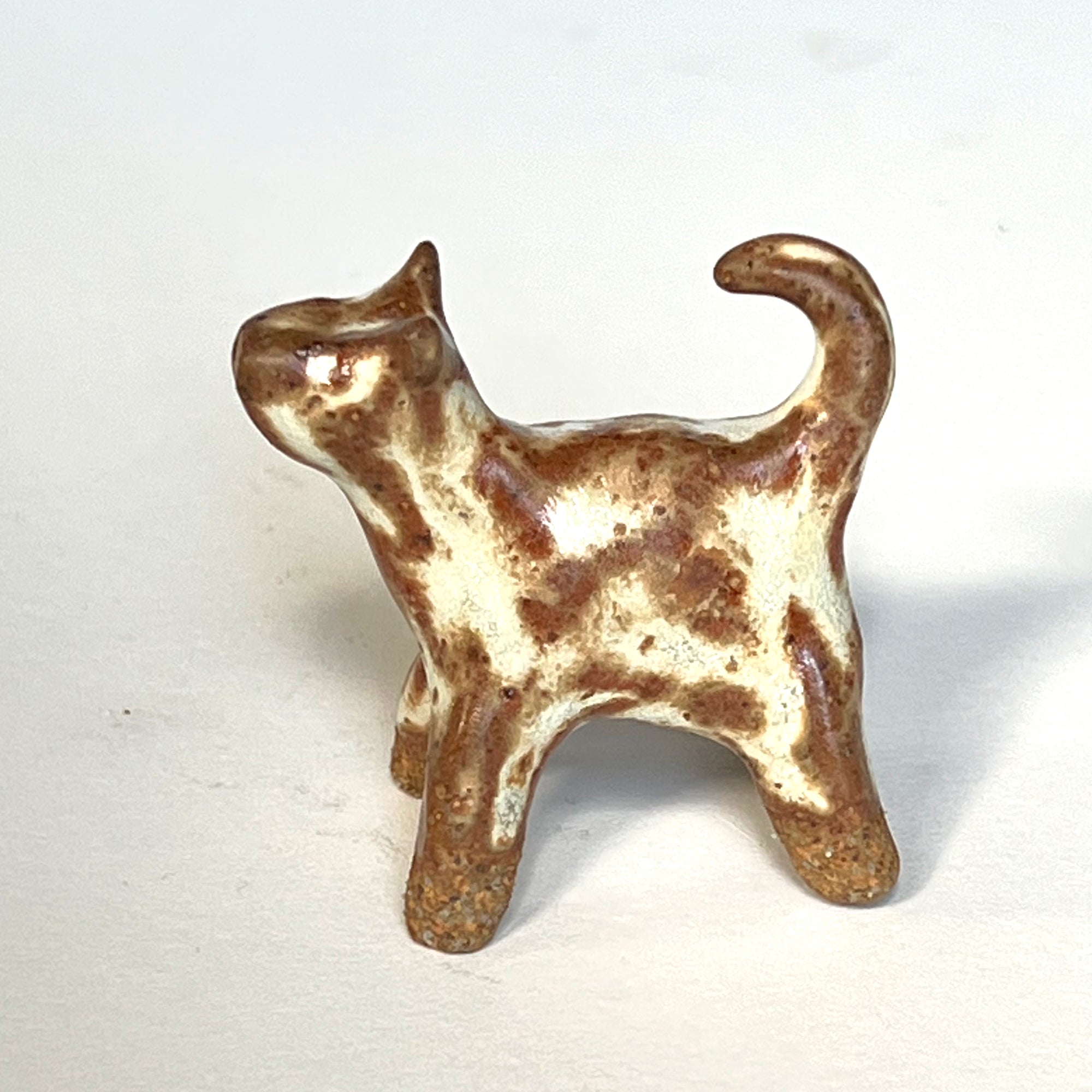 Ceranimal: Cat