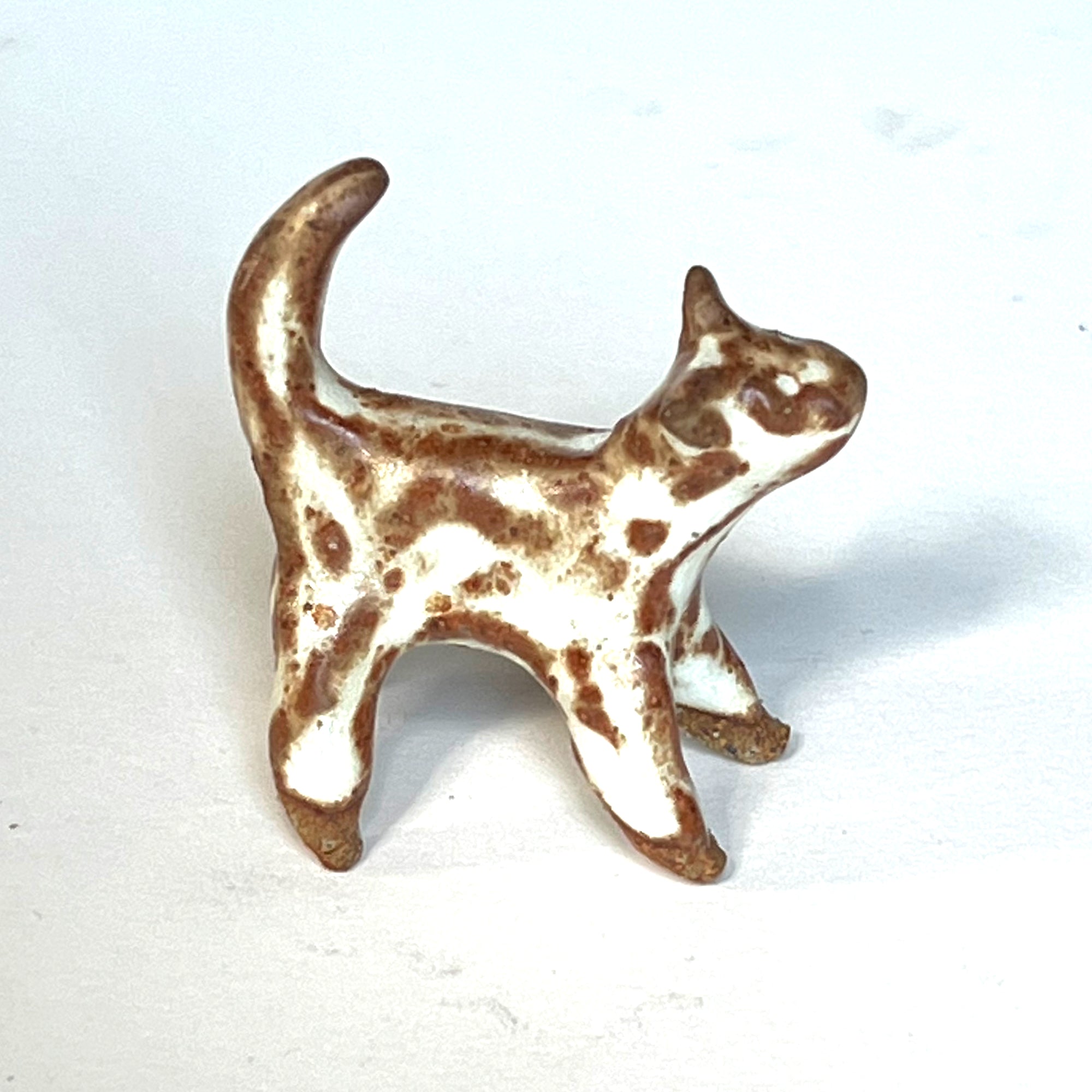 Ceranimal: Cat