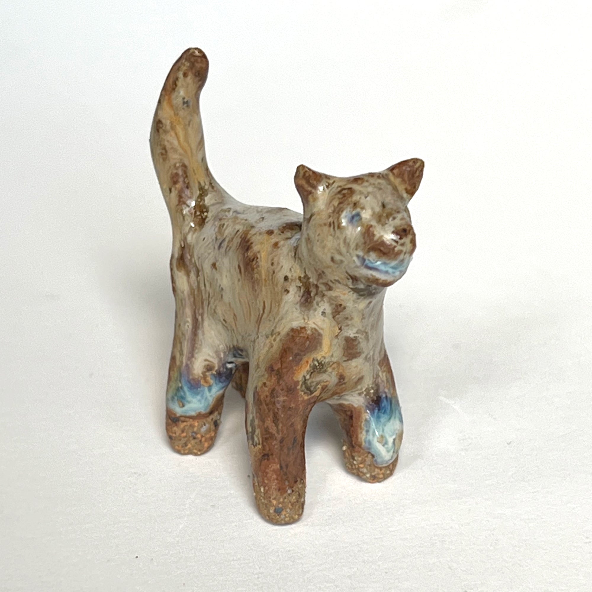 Ceranimal: Cat