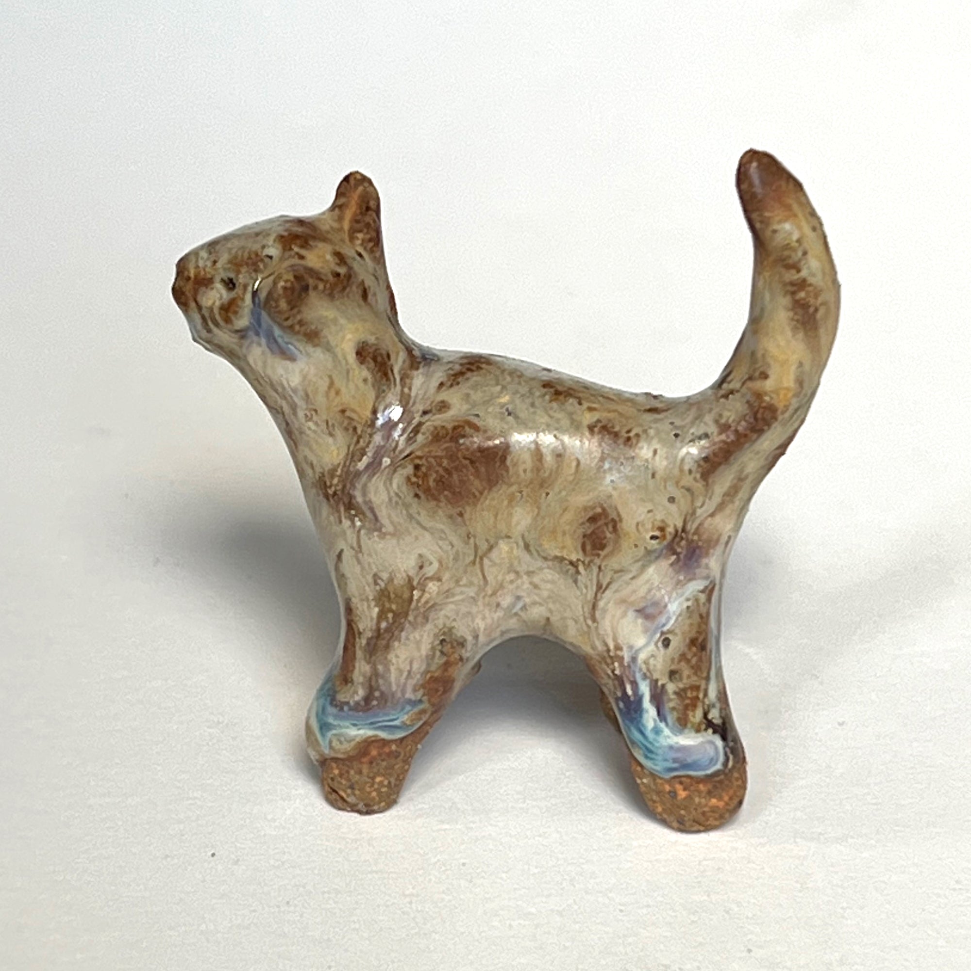 Ceranimal: Cat