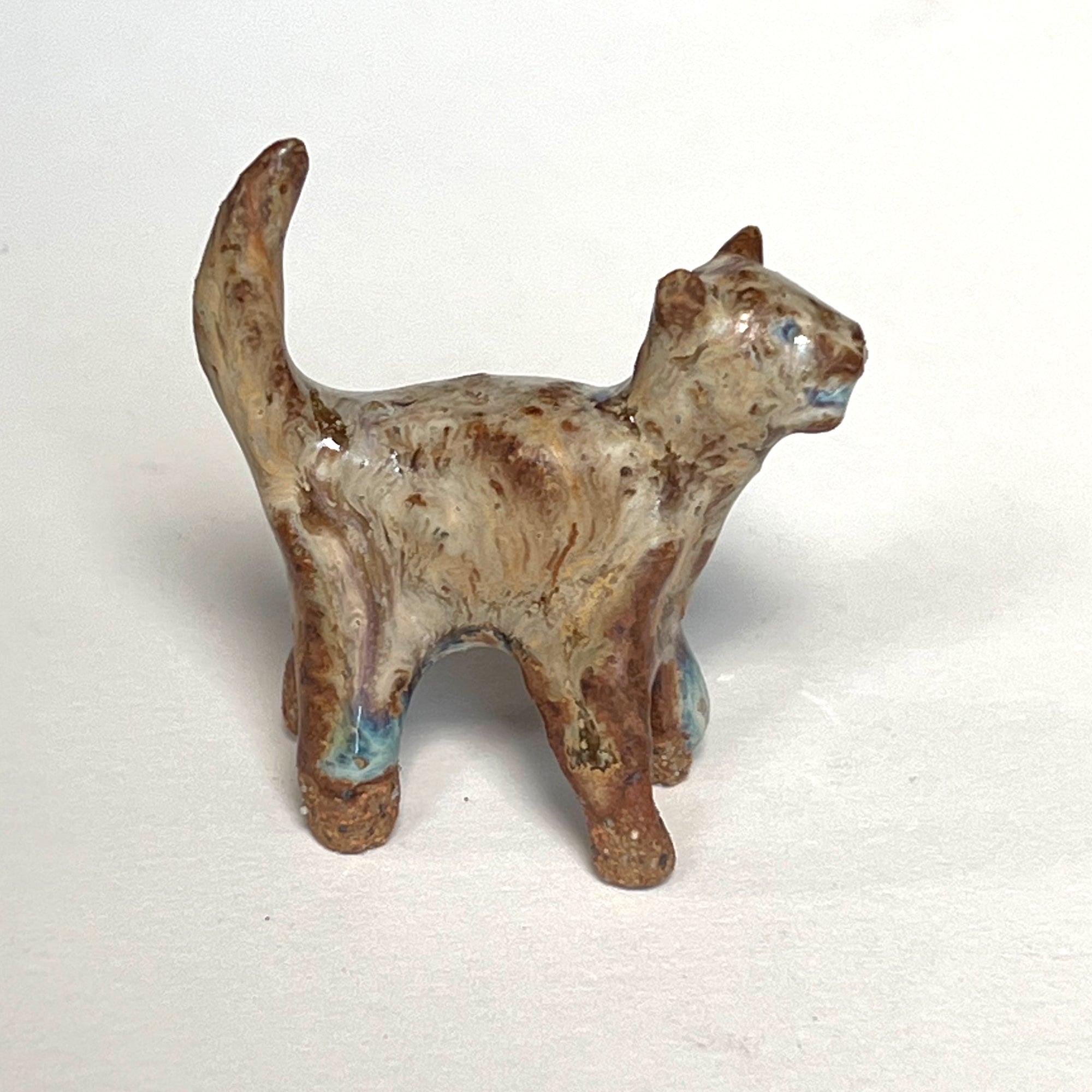 Ceranimal: Cat