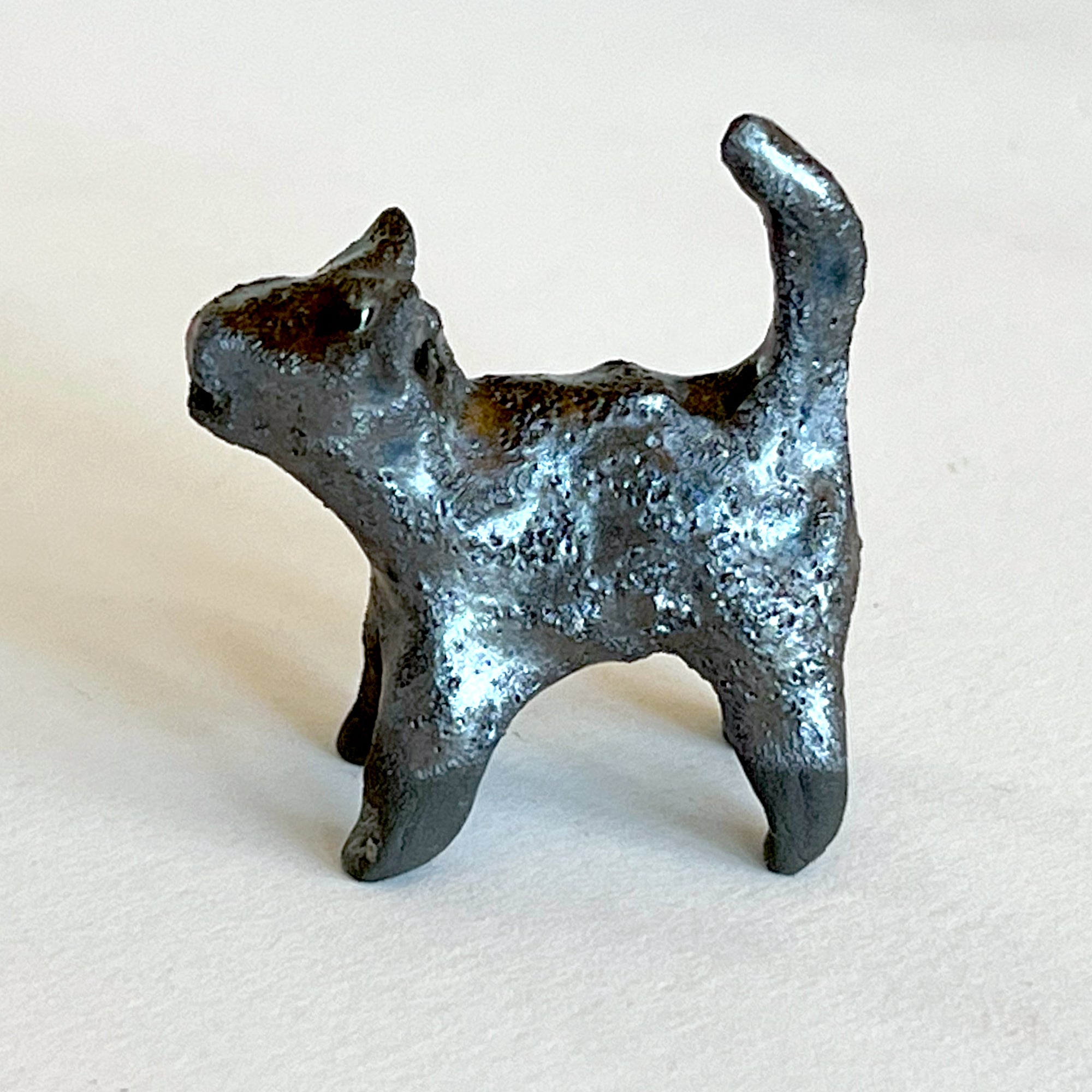 Ceranimal: Cat