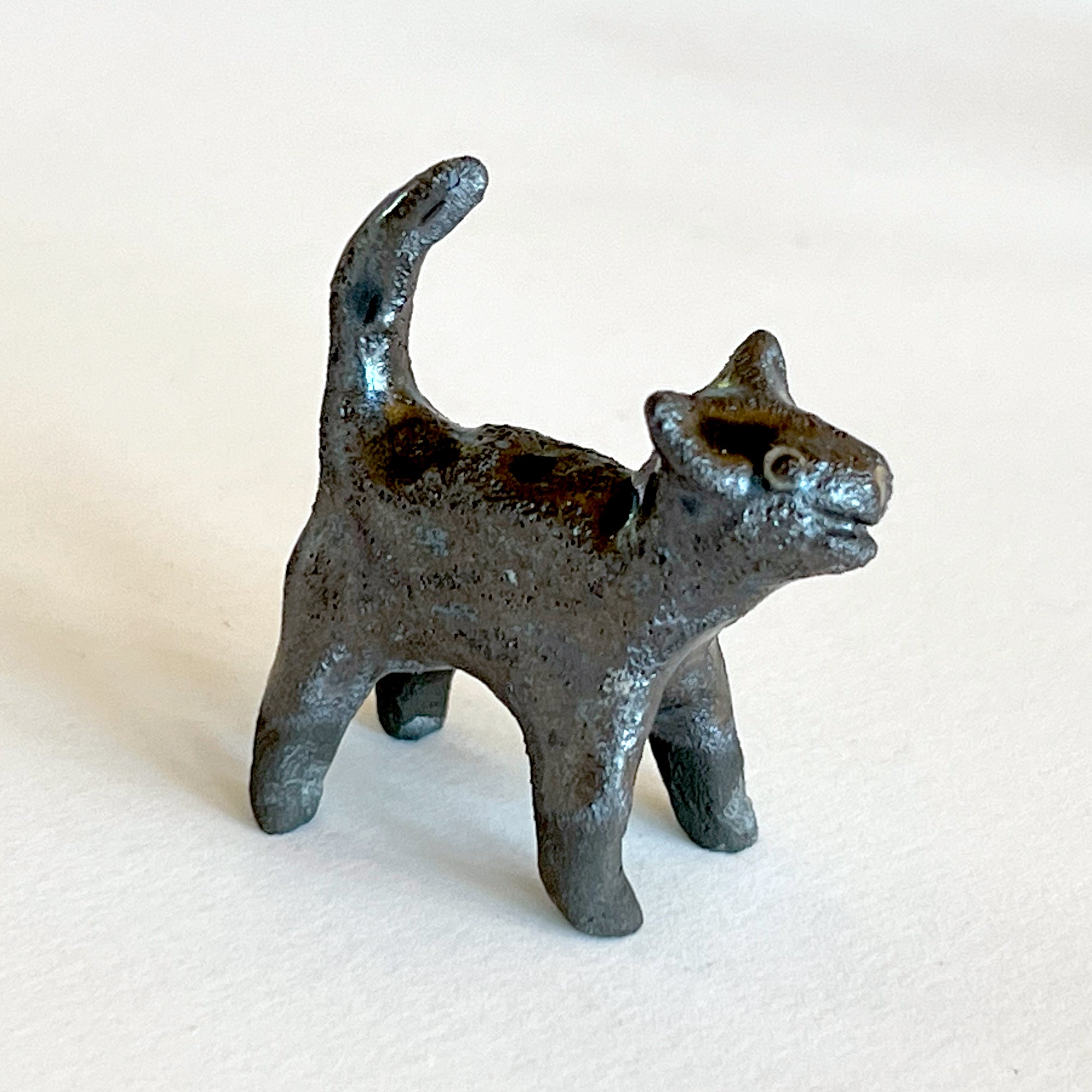 Ceranimal: Cat