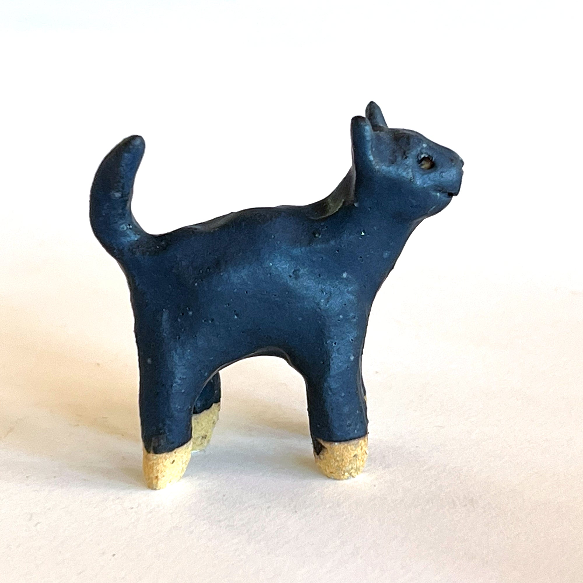 Ceranimal: Cat