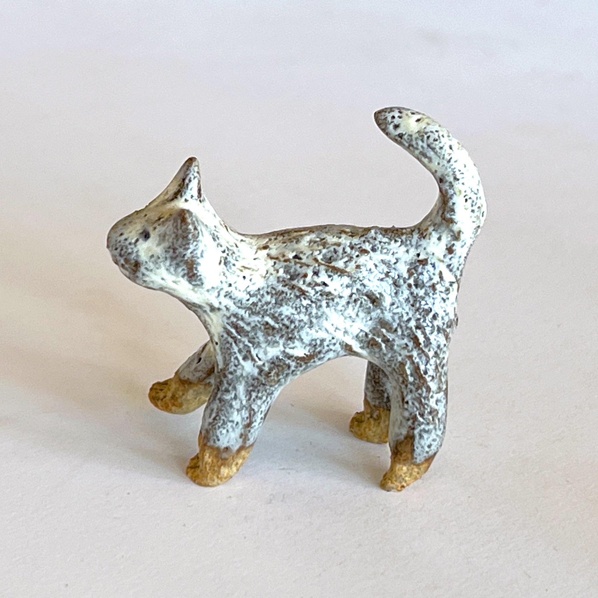 Ceranimal: Cat