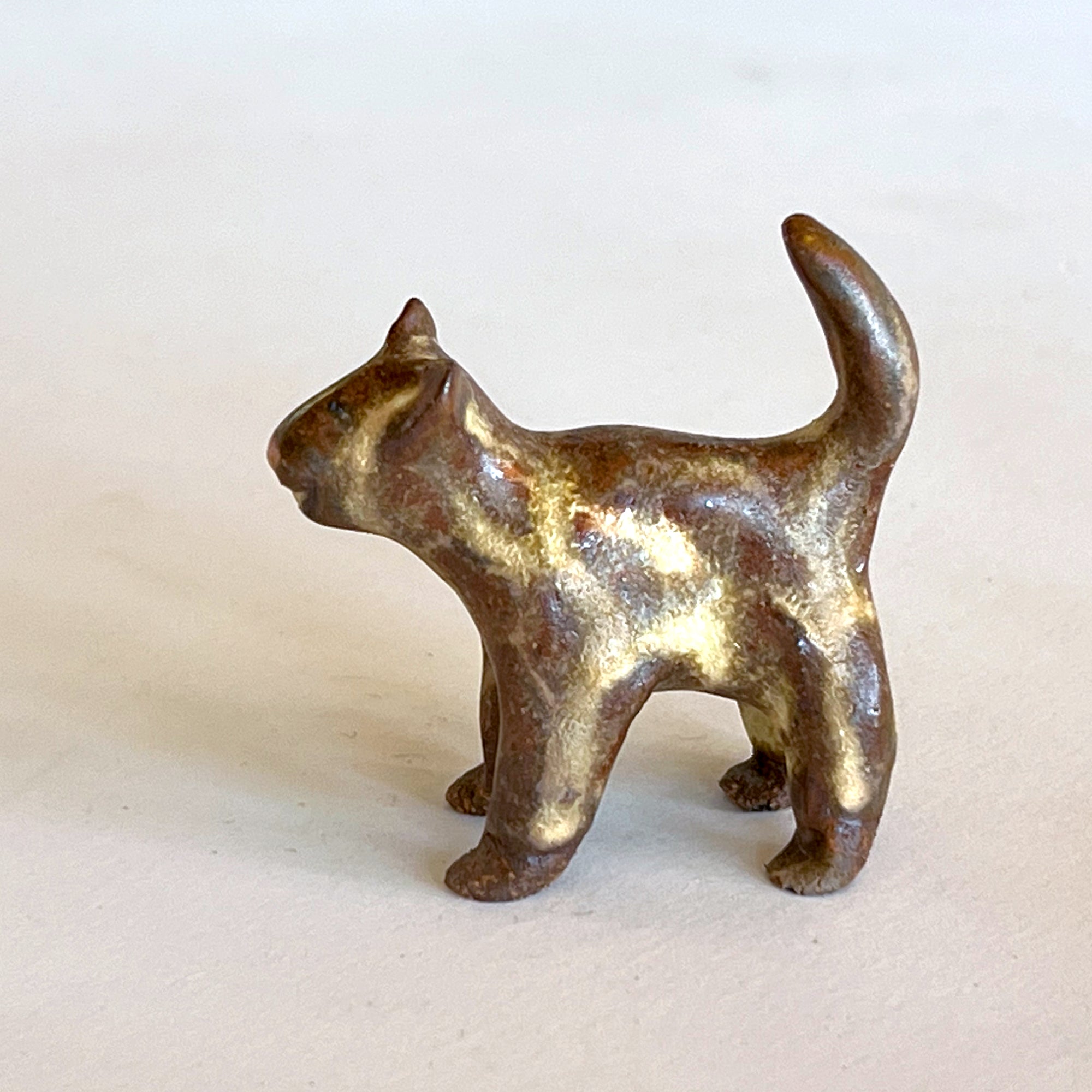Ceranimal: Cat