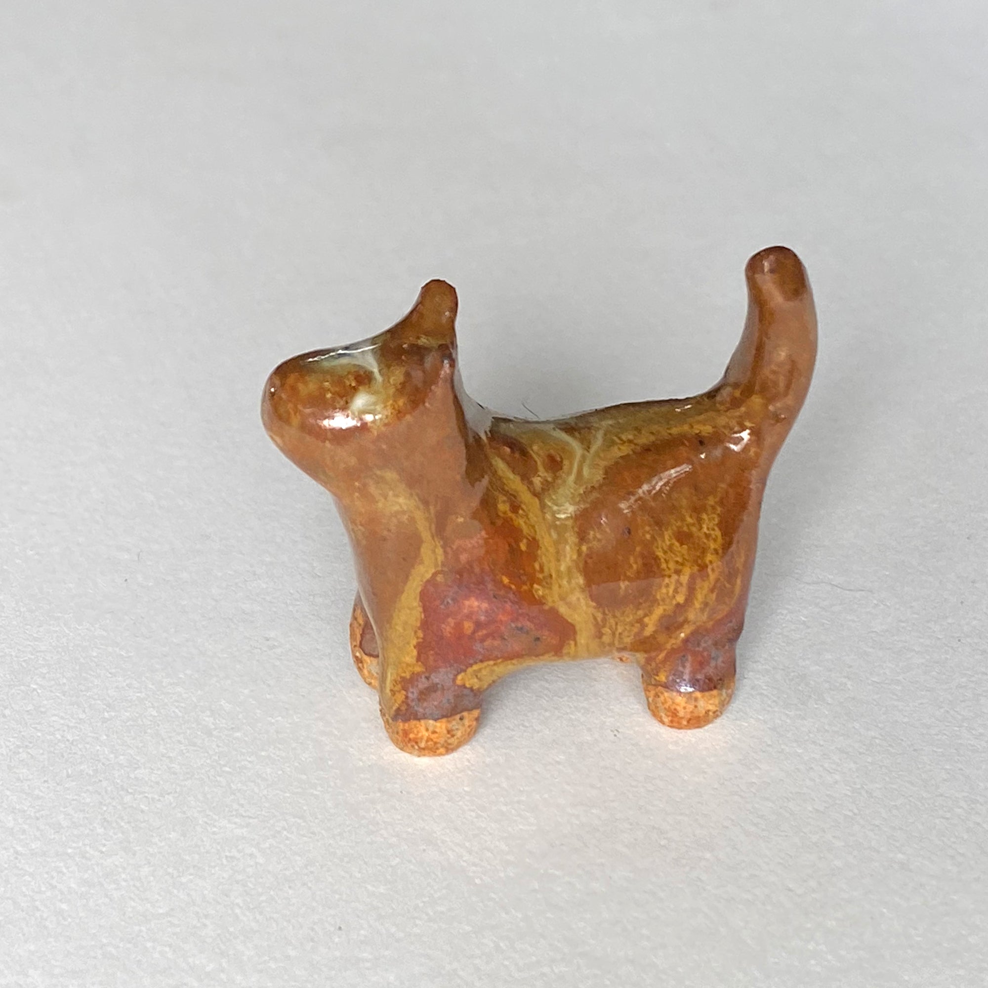 Ceranimal: Cat