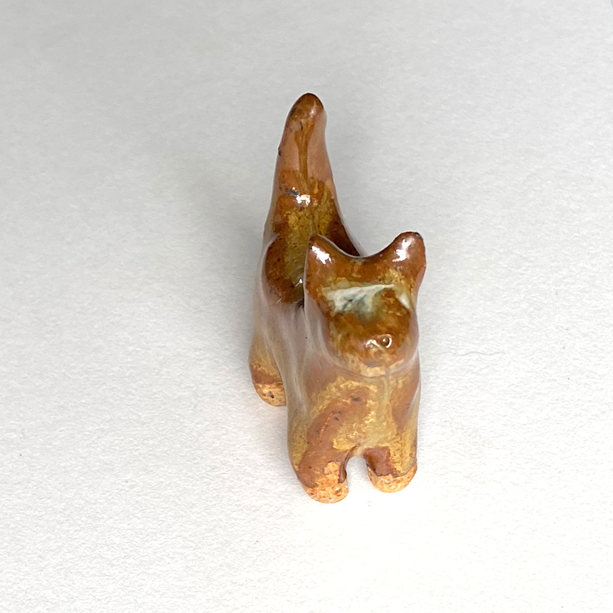 Ceranimal: Cat