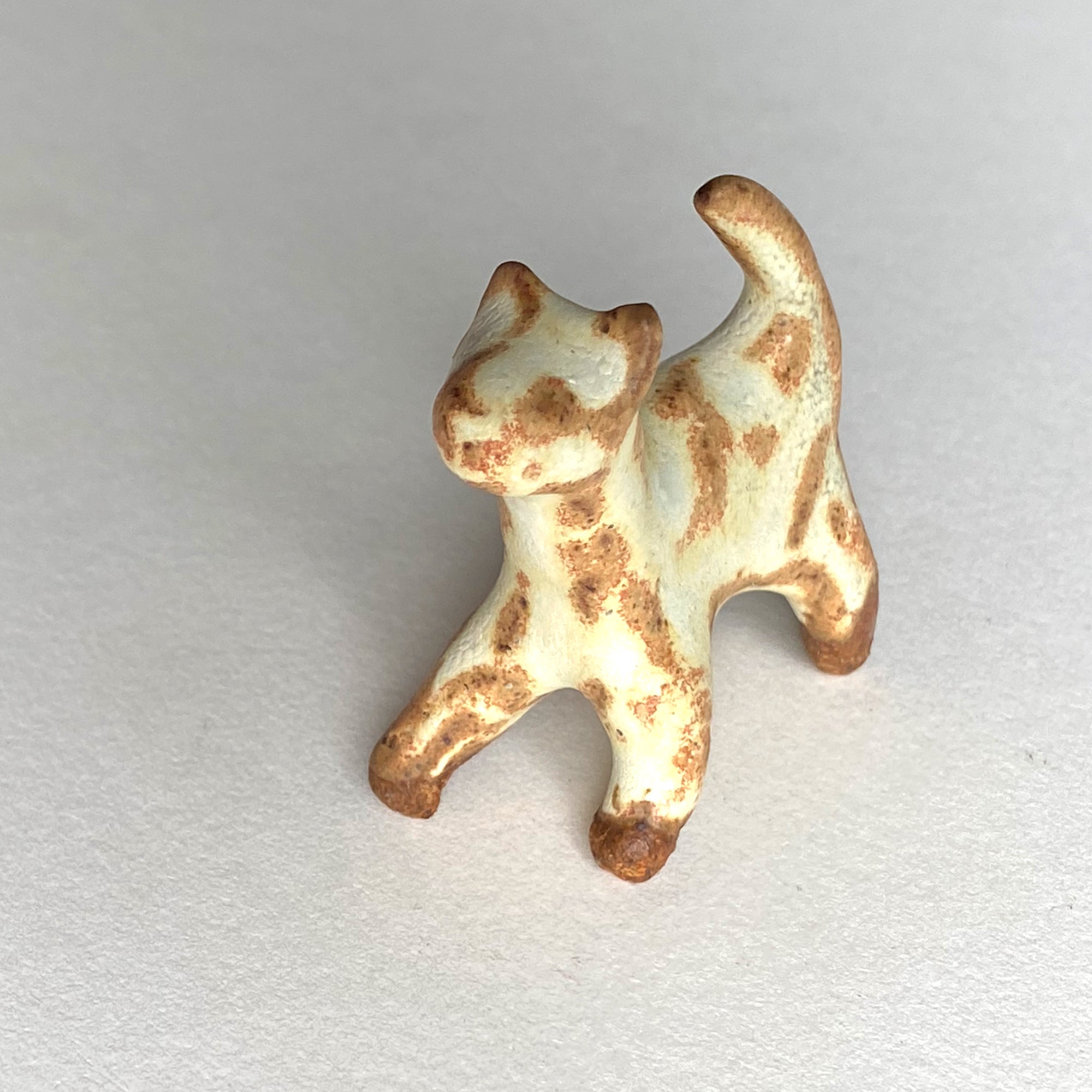 Ceranimal: Cat