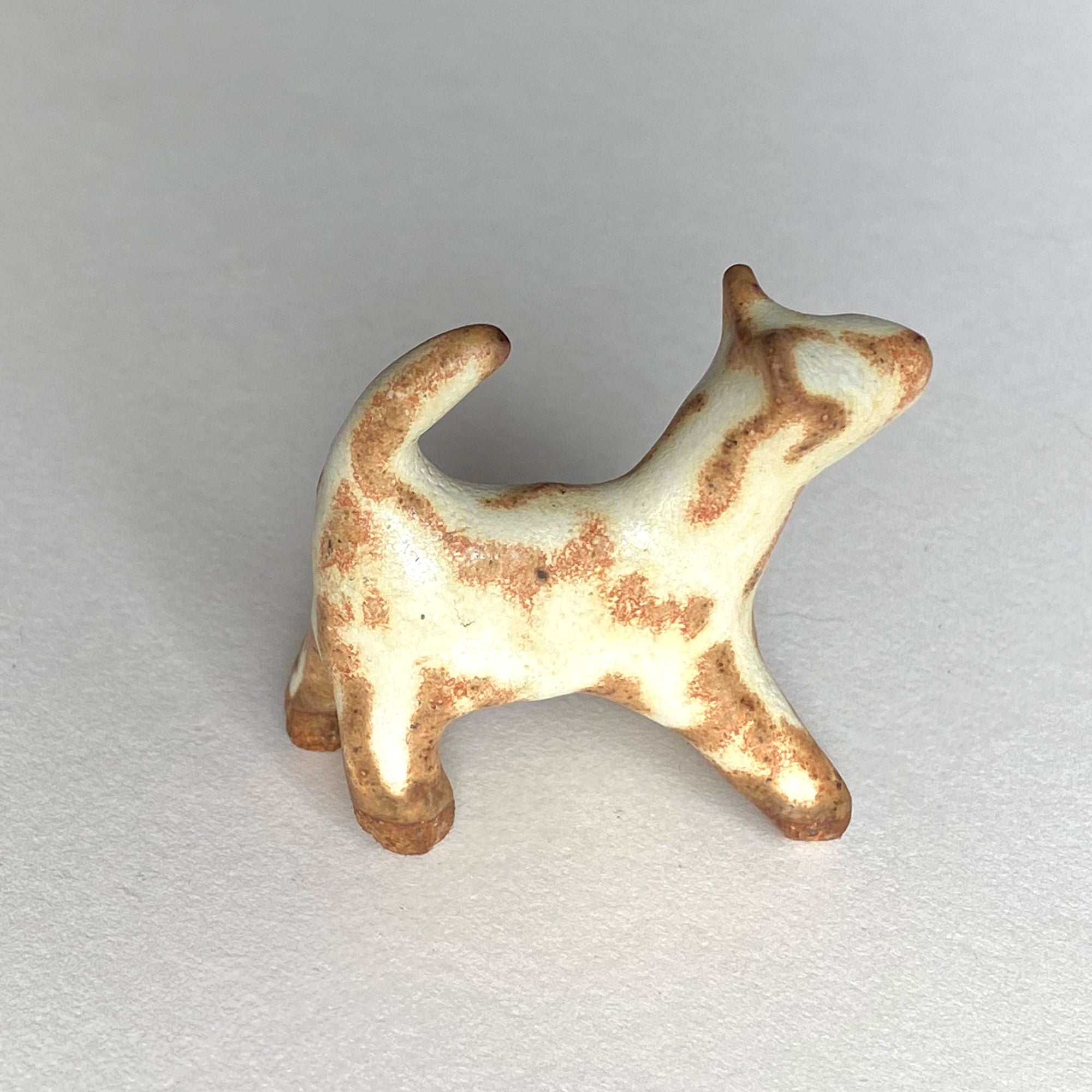 Ceranimal: Cat