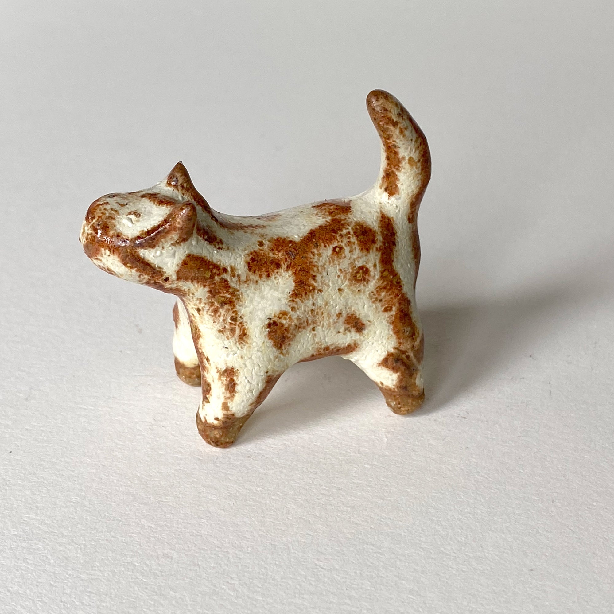 Ceranimal: Cat
