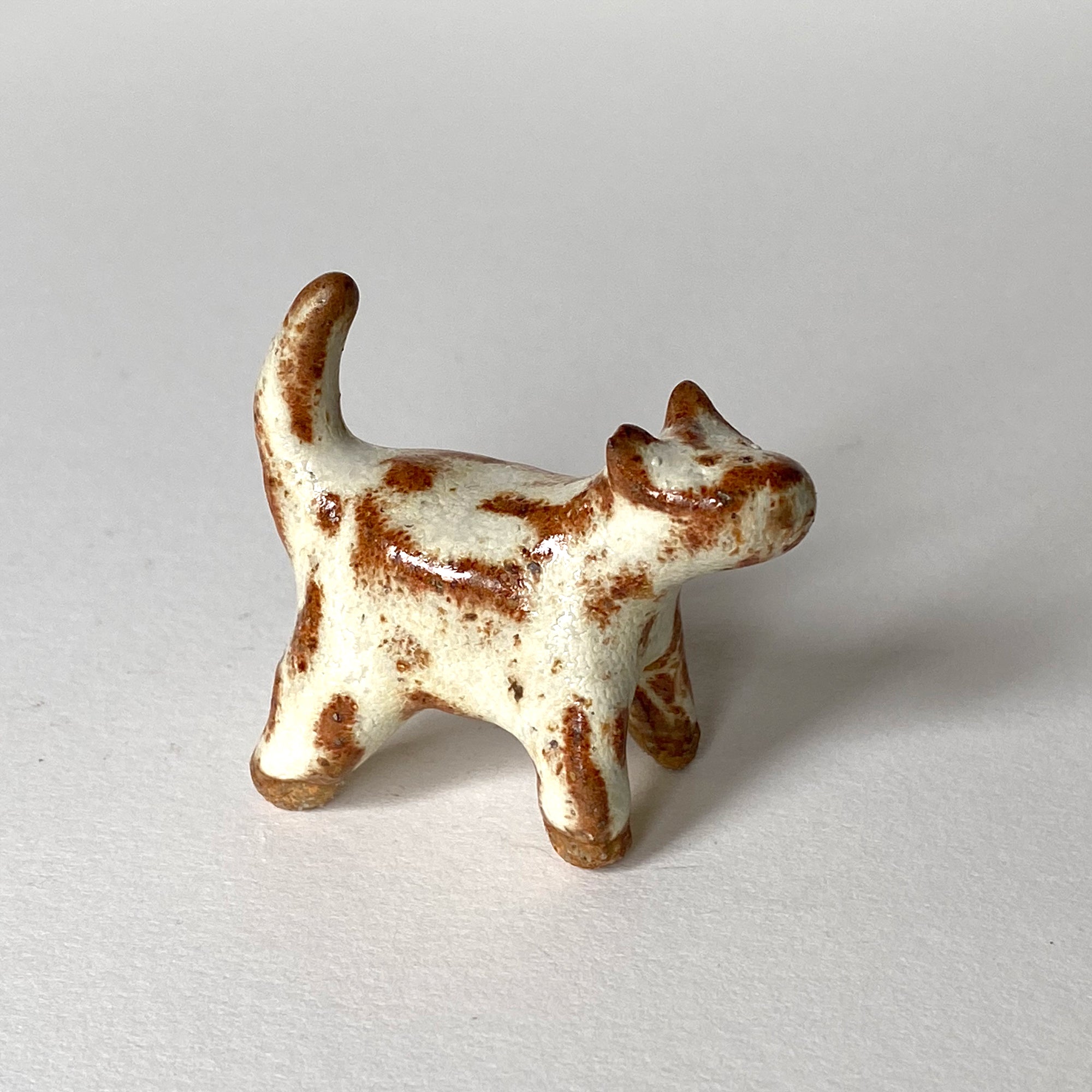 Ceranimal: Cat