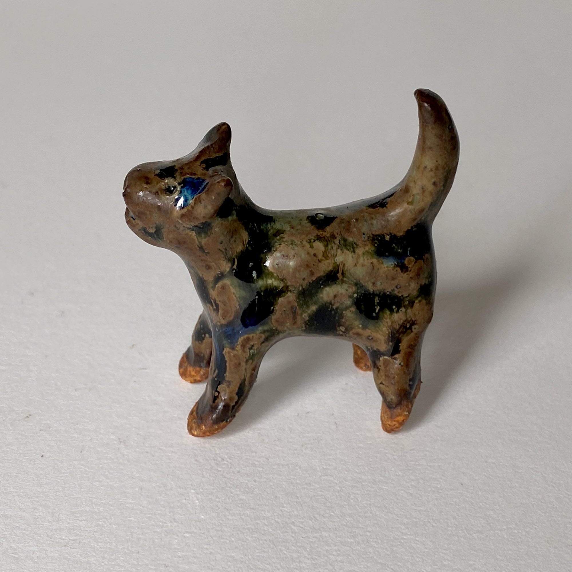 Ceranimal: Cat