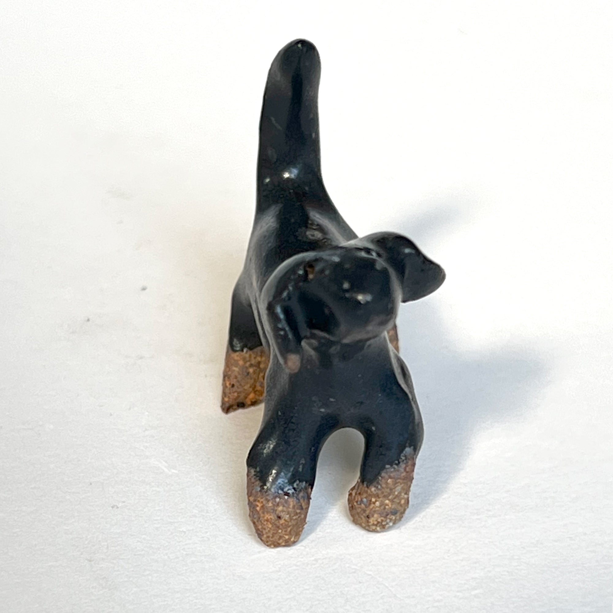 Ceranimal: Dog