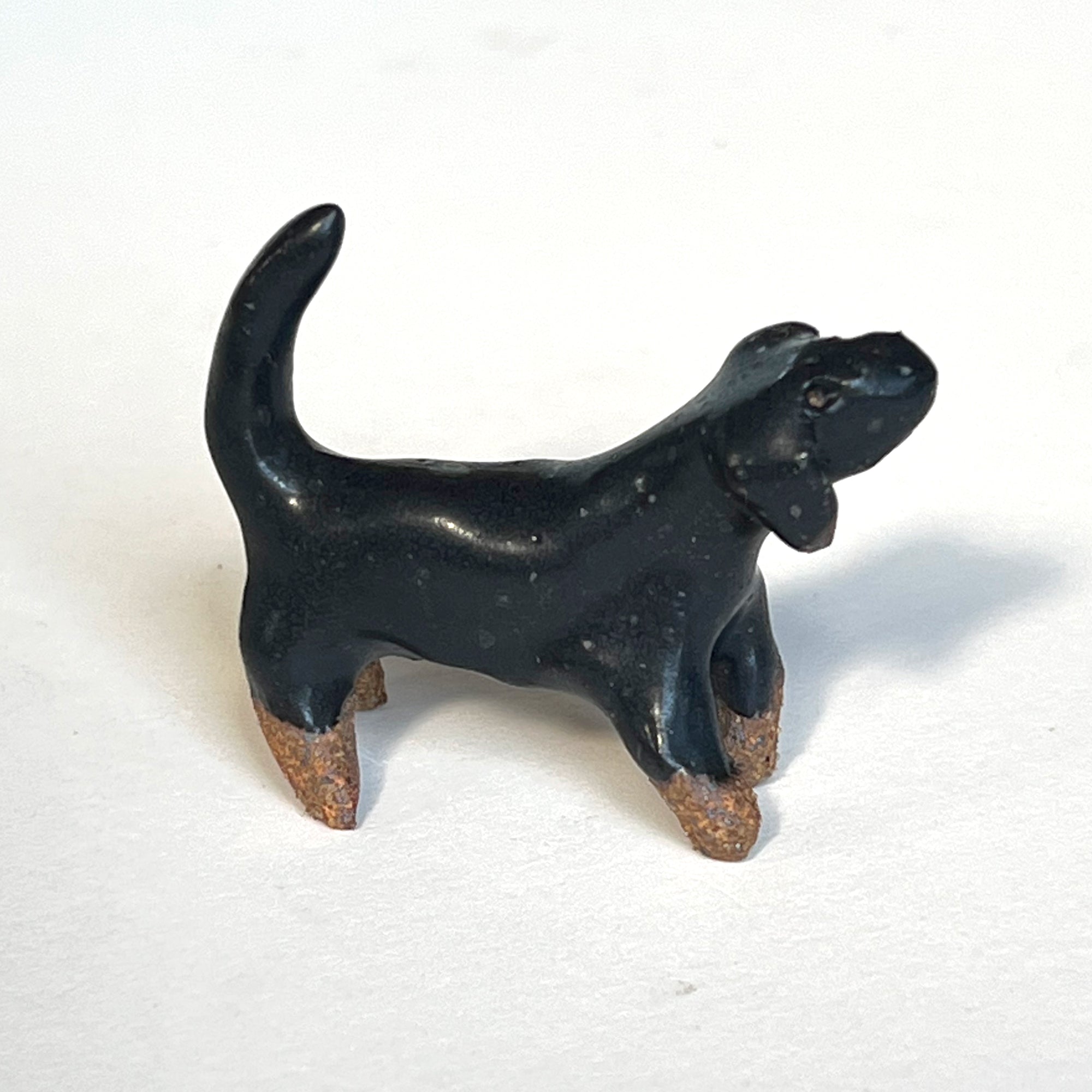 Ceranimal: Dog