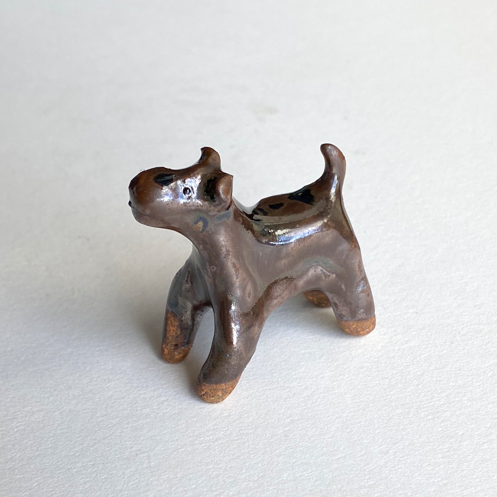 Ceranimal: Dog