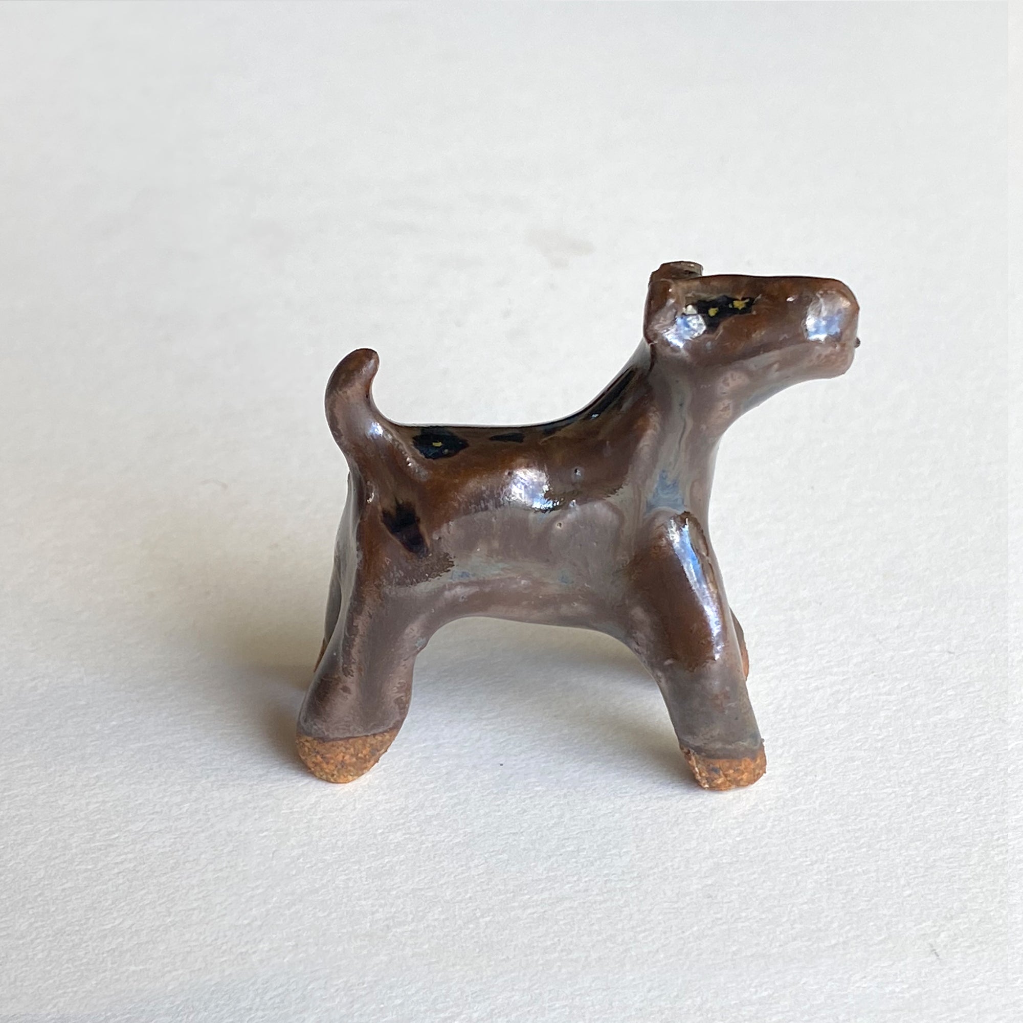 Ceranimal: Dog