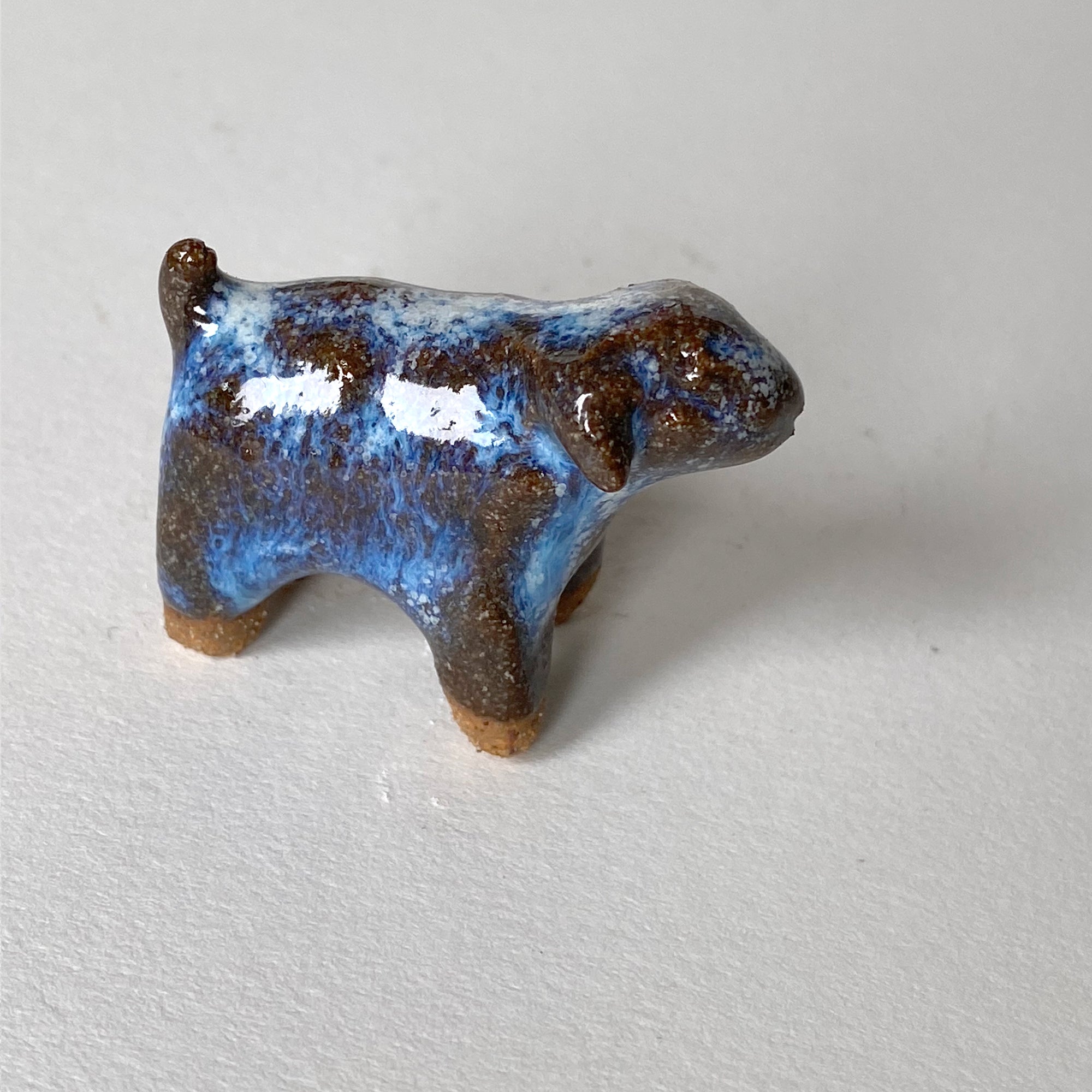 Ceranimal: Dog