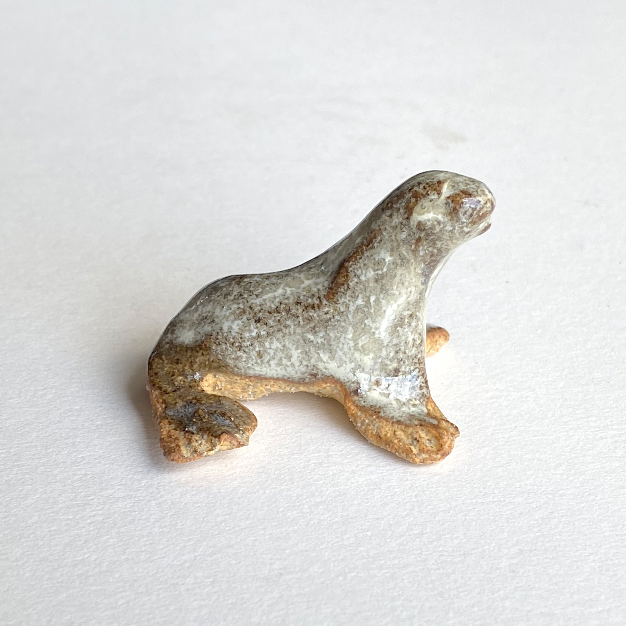 Ceranimal: Seal