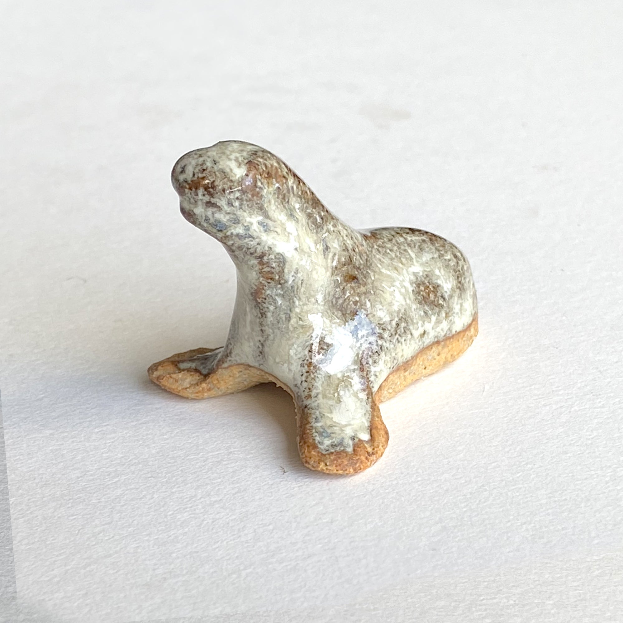 Ceranimal: Seal