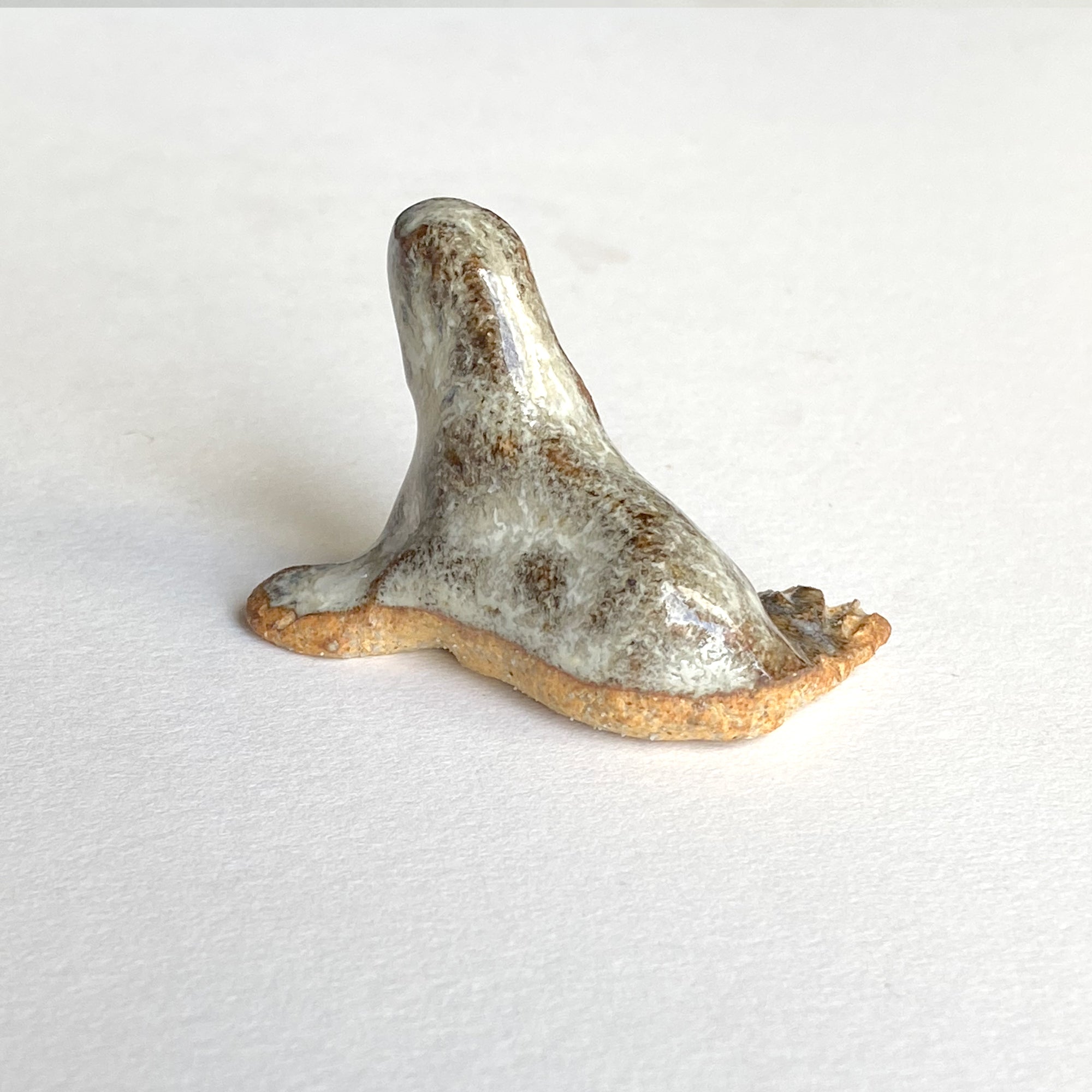 Ceranimal: Seal