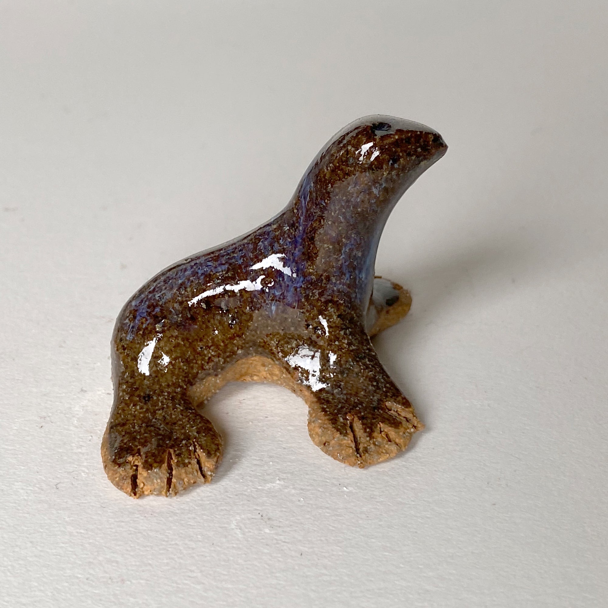 Ceranimal: Seal