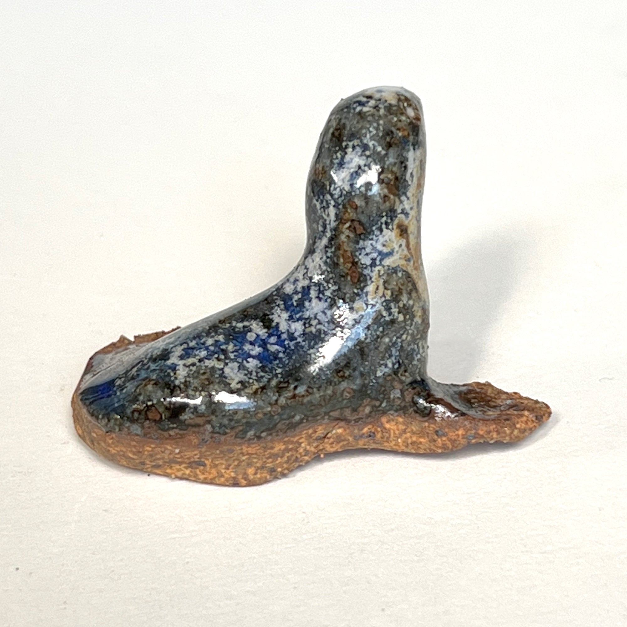 Ceranimal: Seal