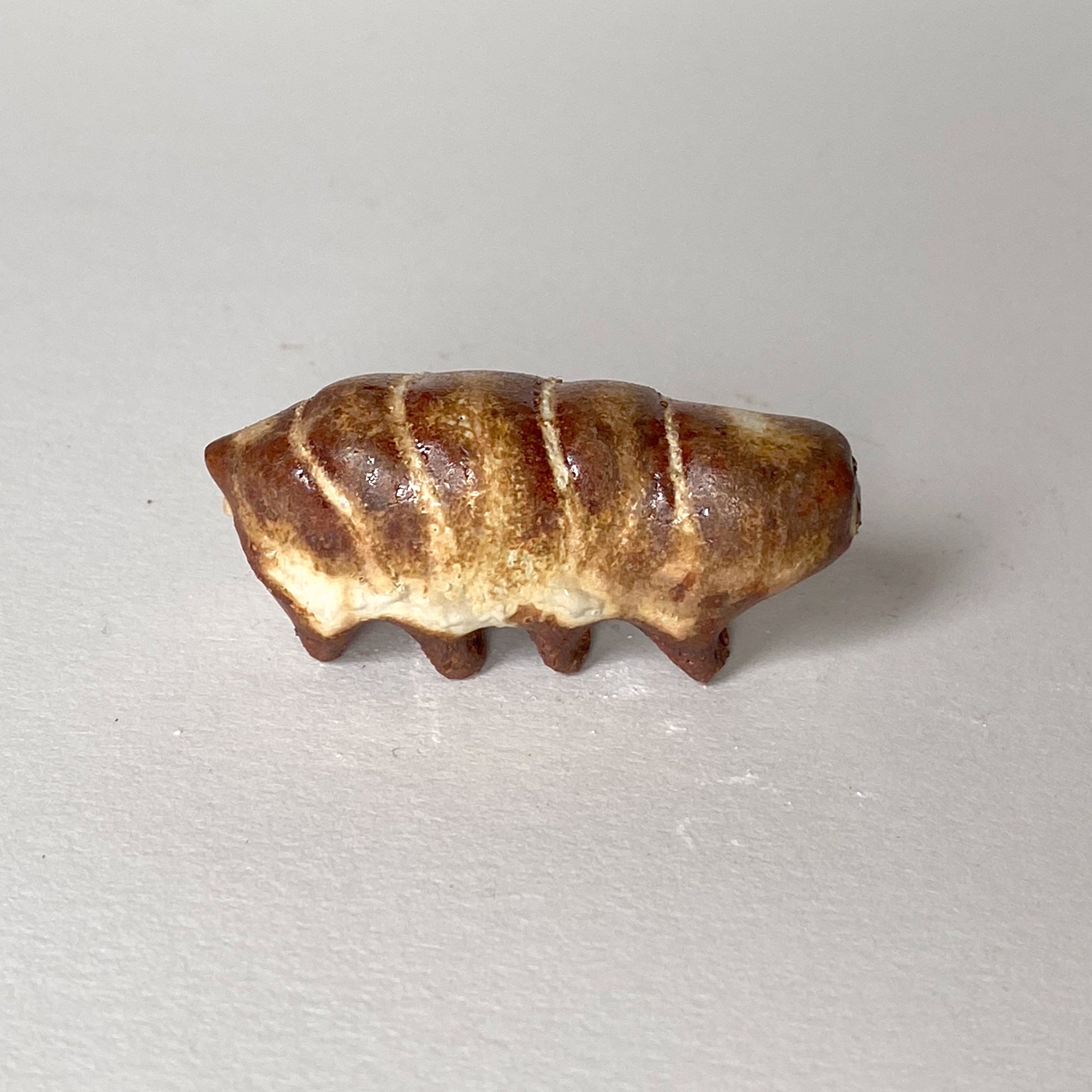 Ceranimal: Tardigrade