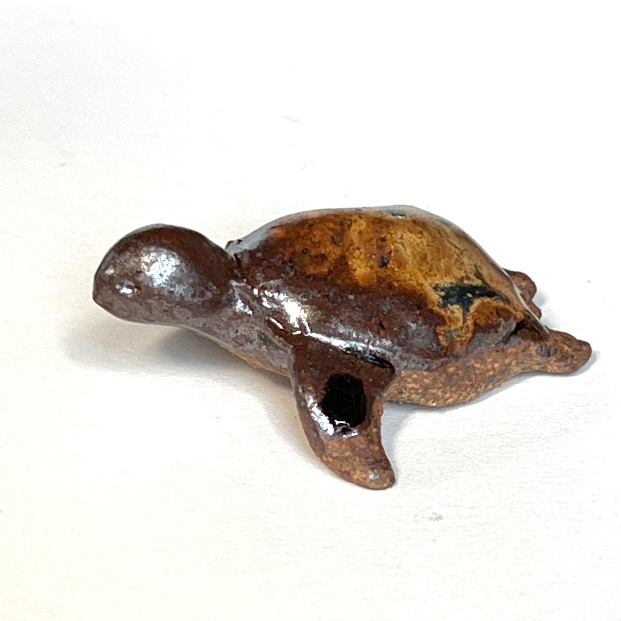 Ceranimal: Turtle