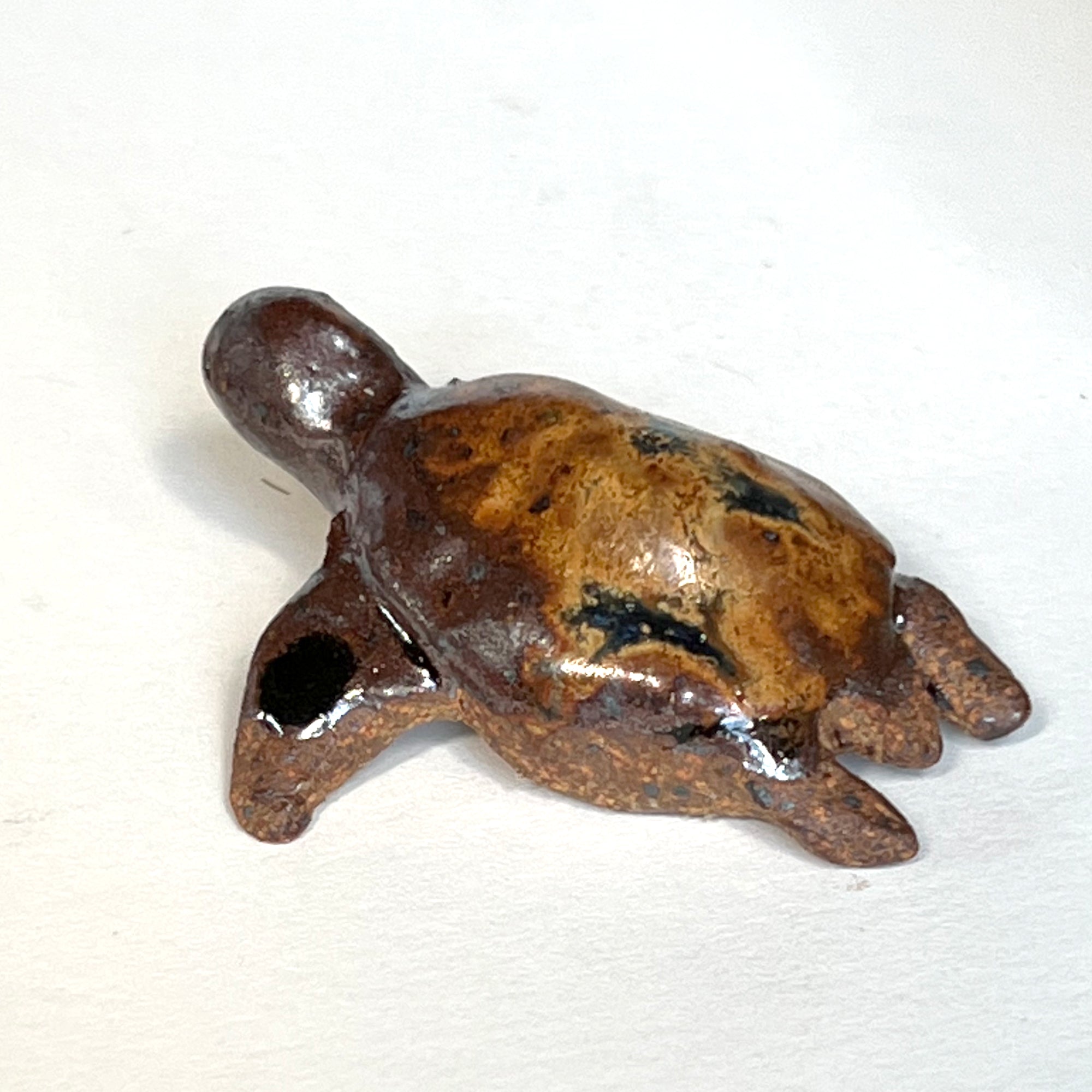 Ceranimal: Turtle